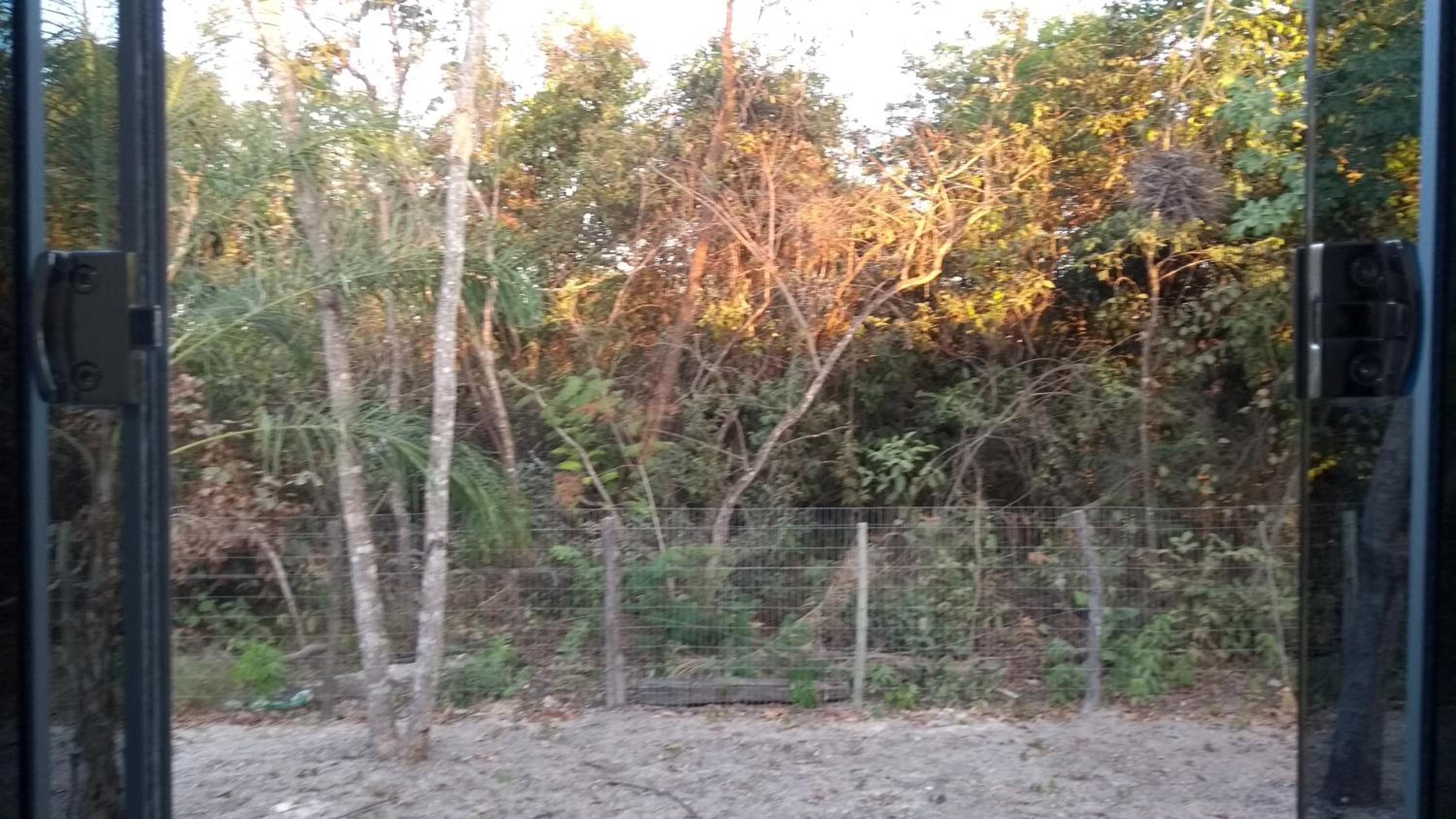 Chácara Pousada Sagui