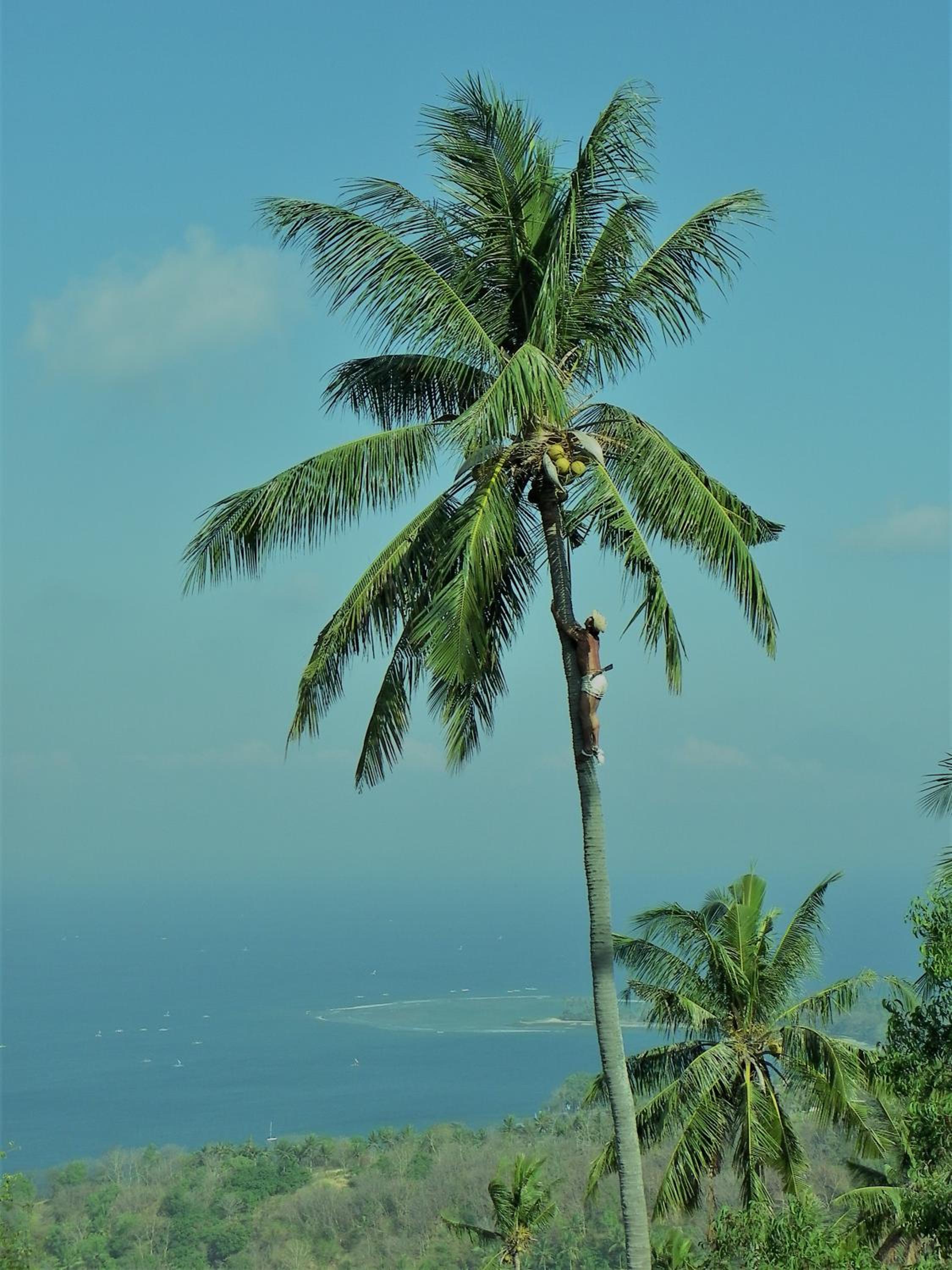 The Puncak Lombok, Senggigi - 4