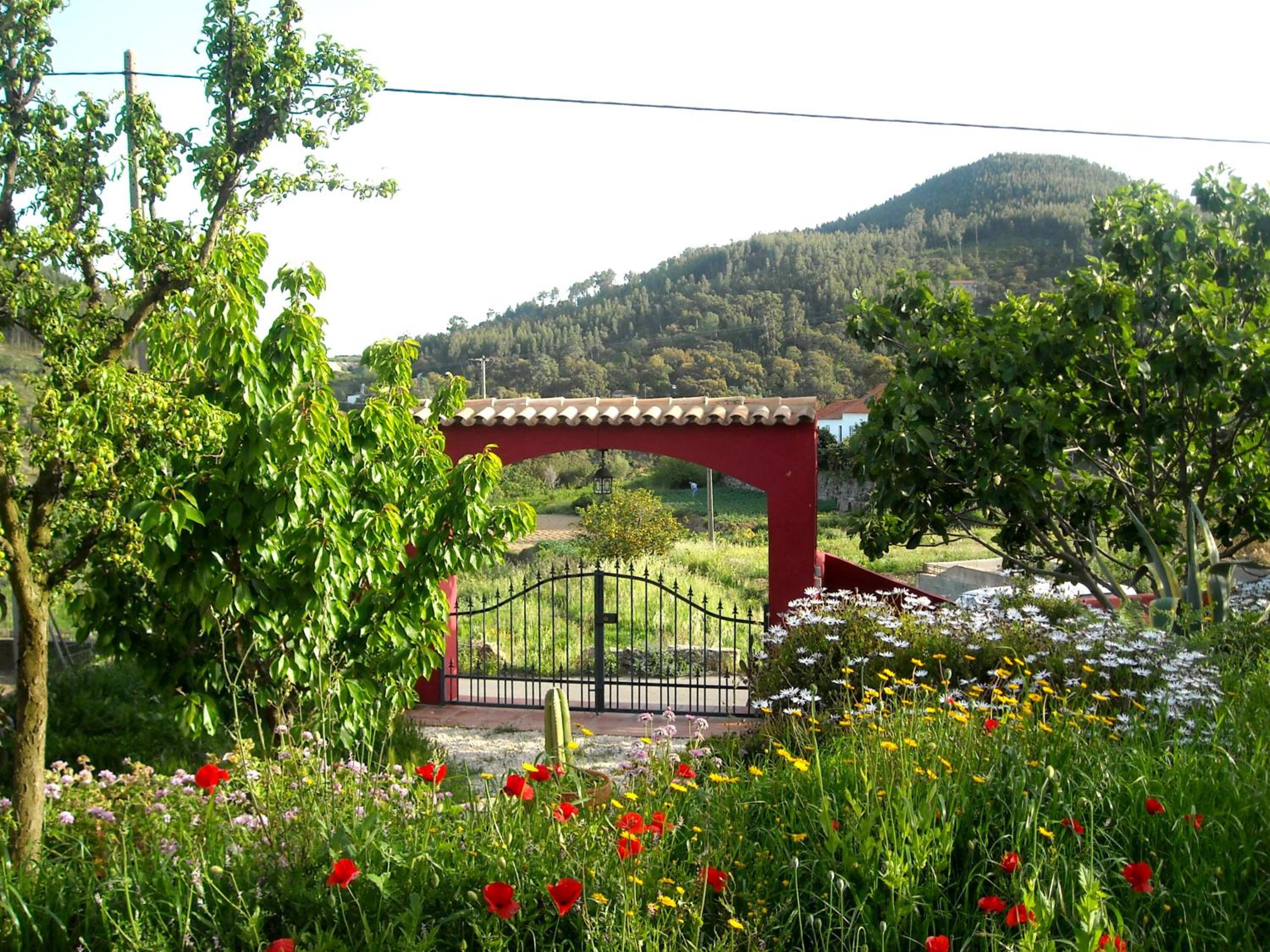 Photo 40