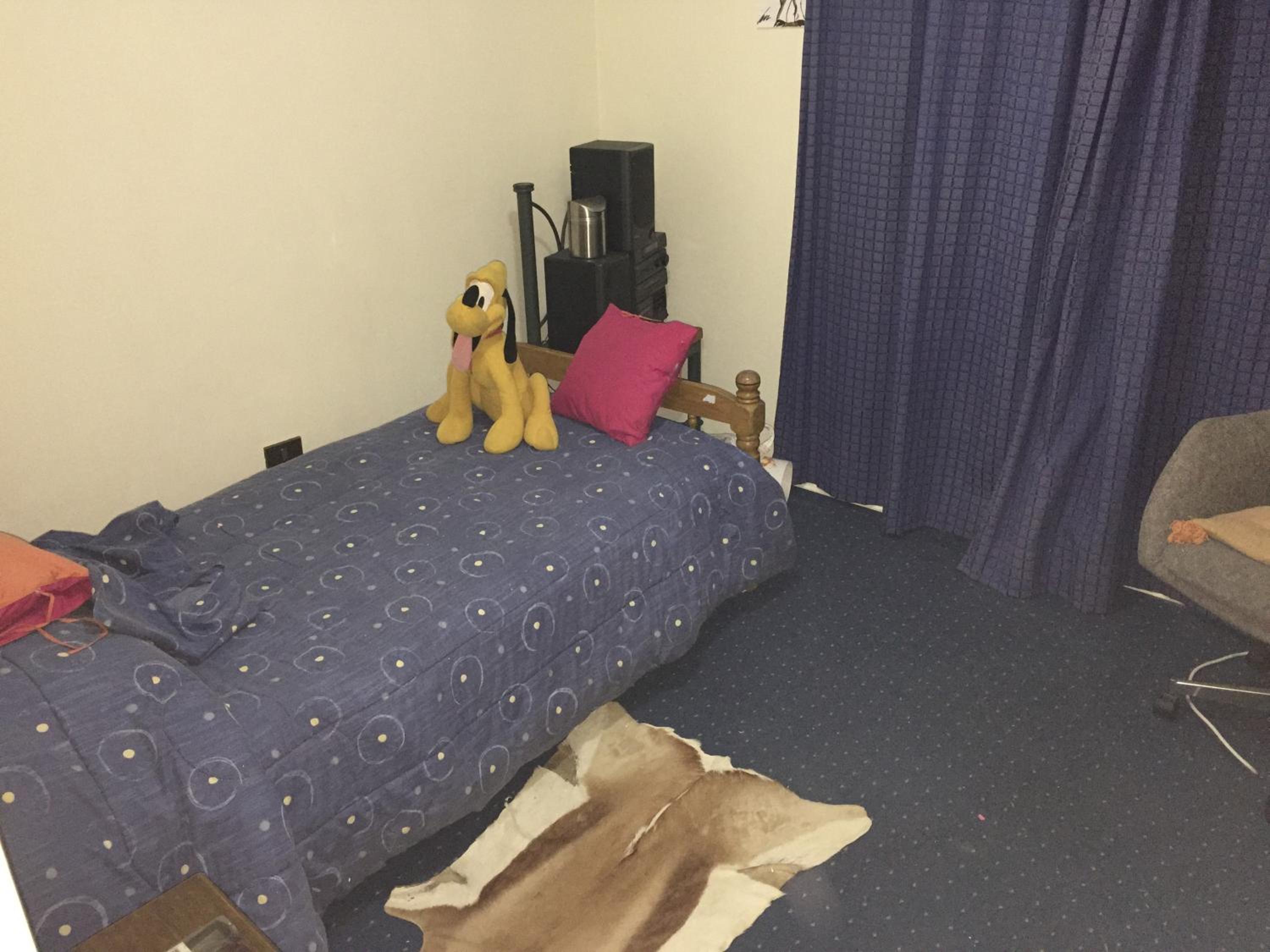 Photo 33