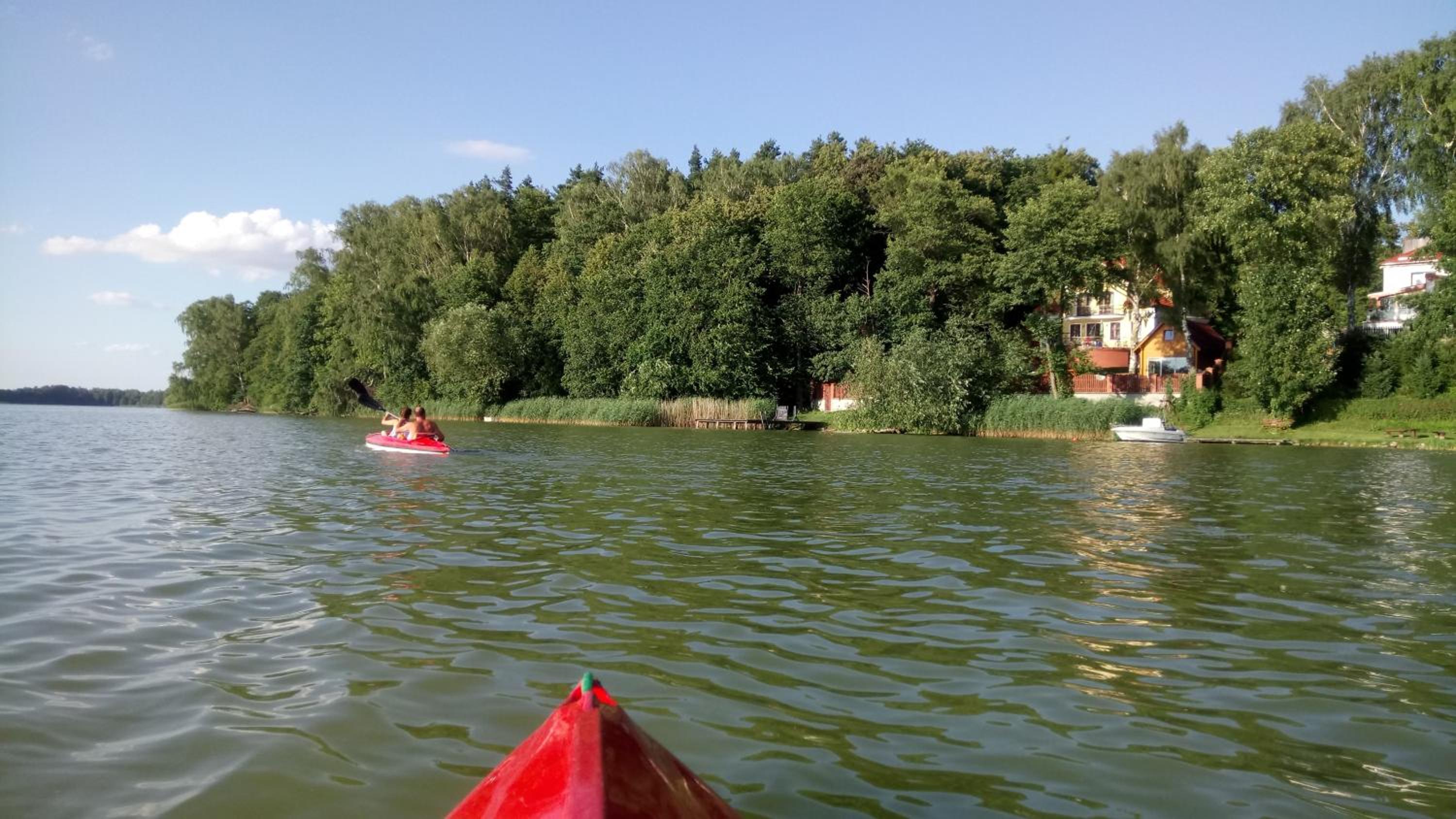 Photo 44