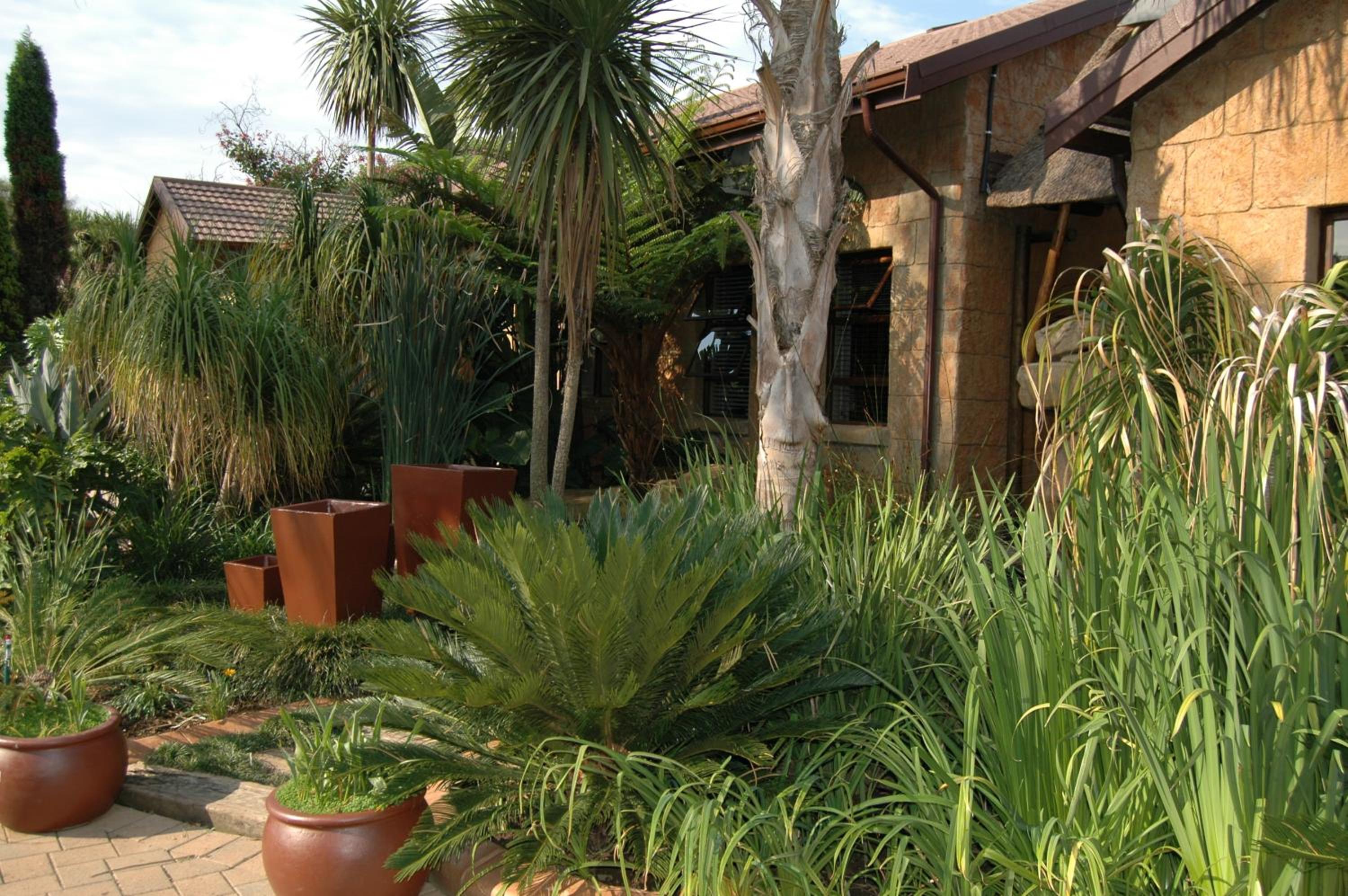 Summer Garden Guest House (The Palms)