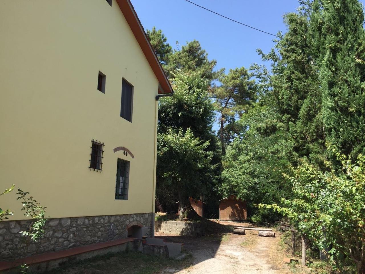 Photo 28