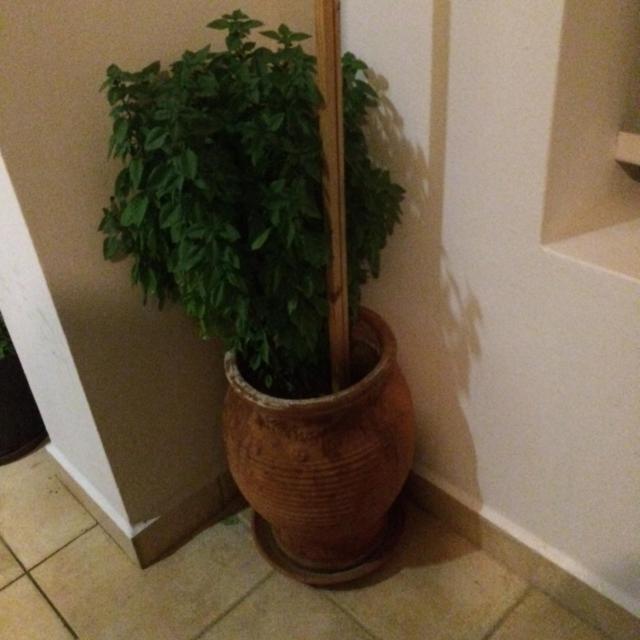 Photo 32