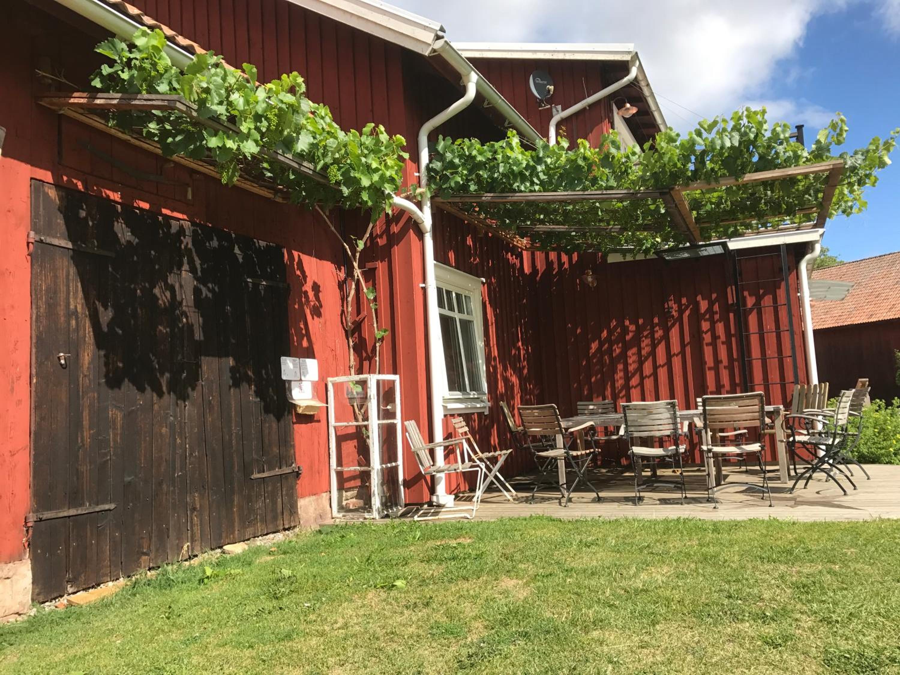 Photo 19
