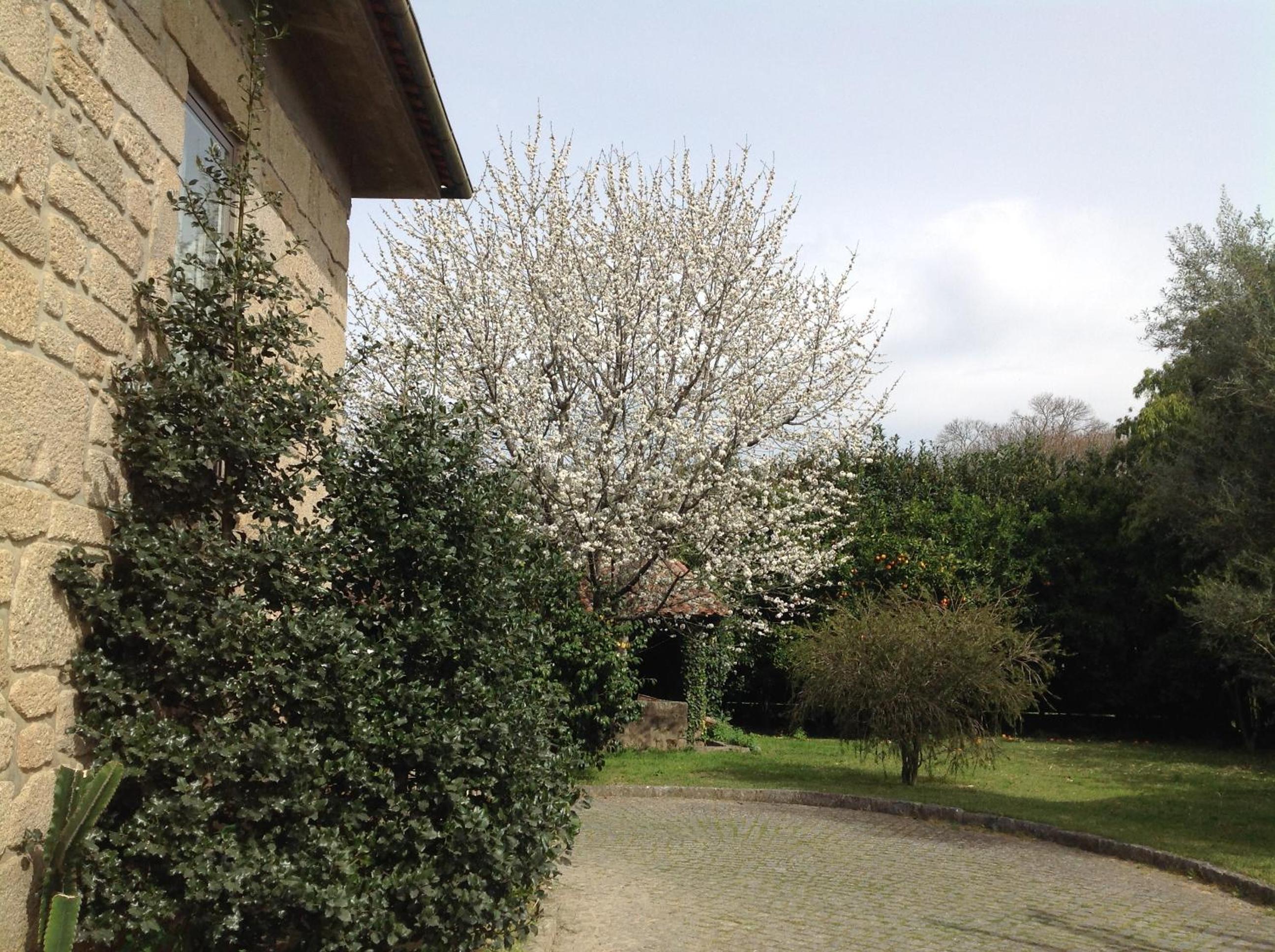Photo 29