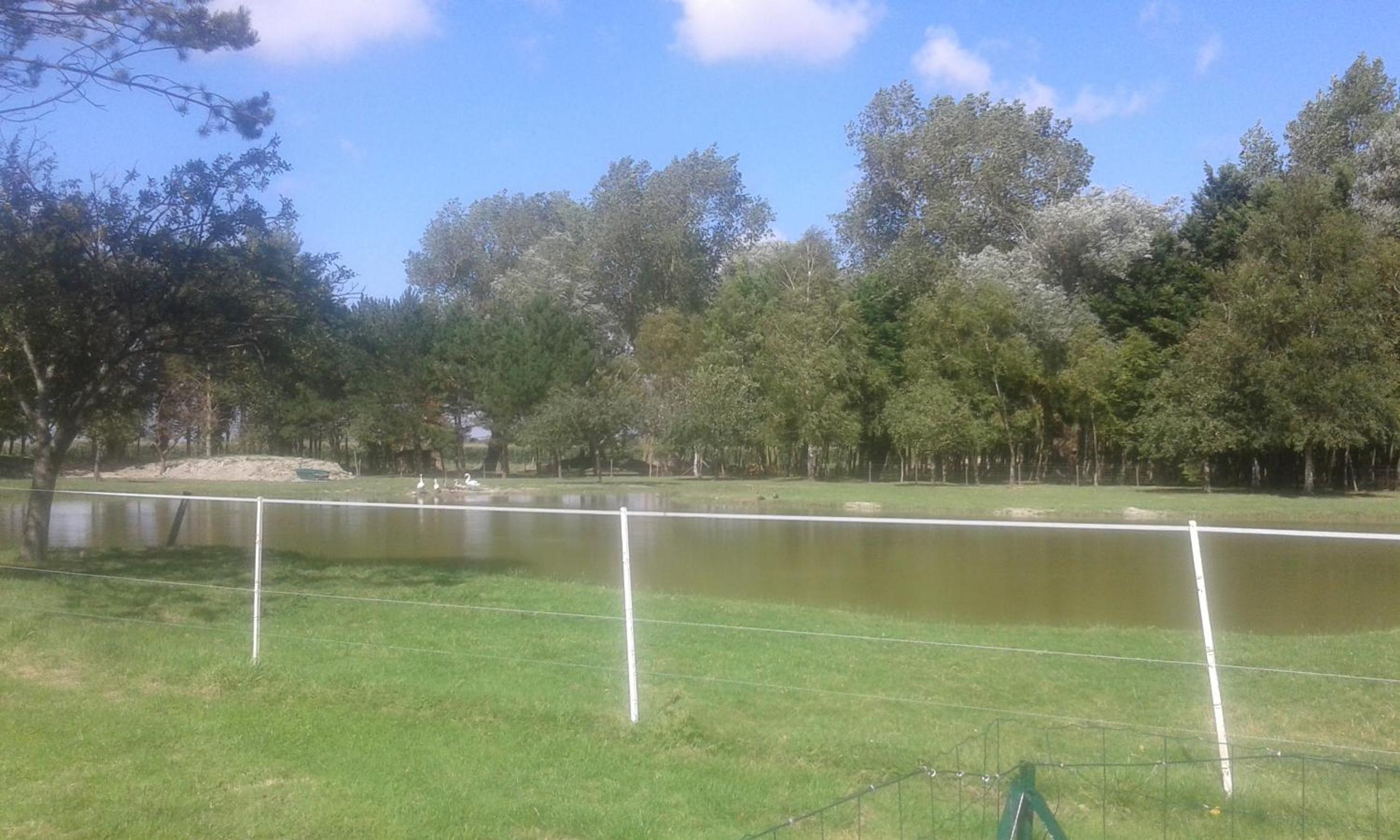 Photo 21