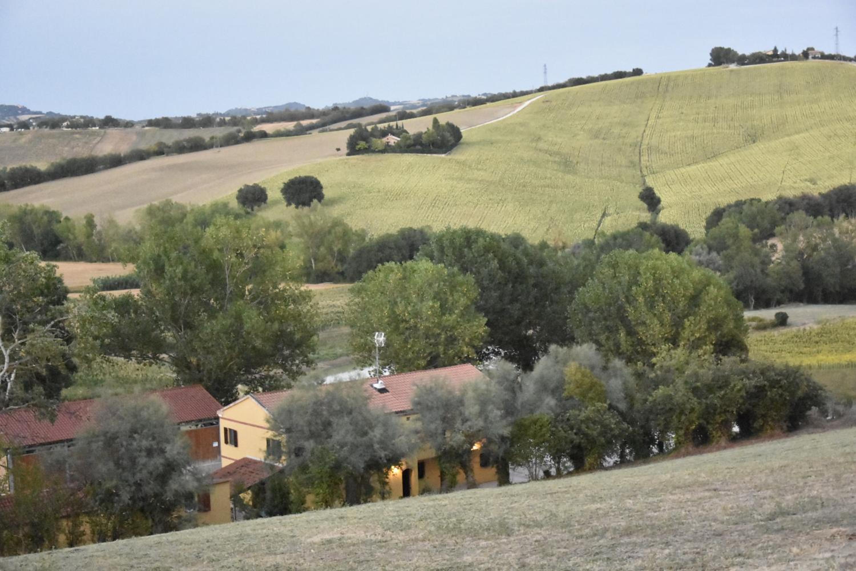 Agriturismo Fattoria del Colle