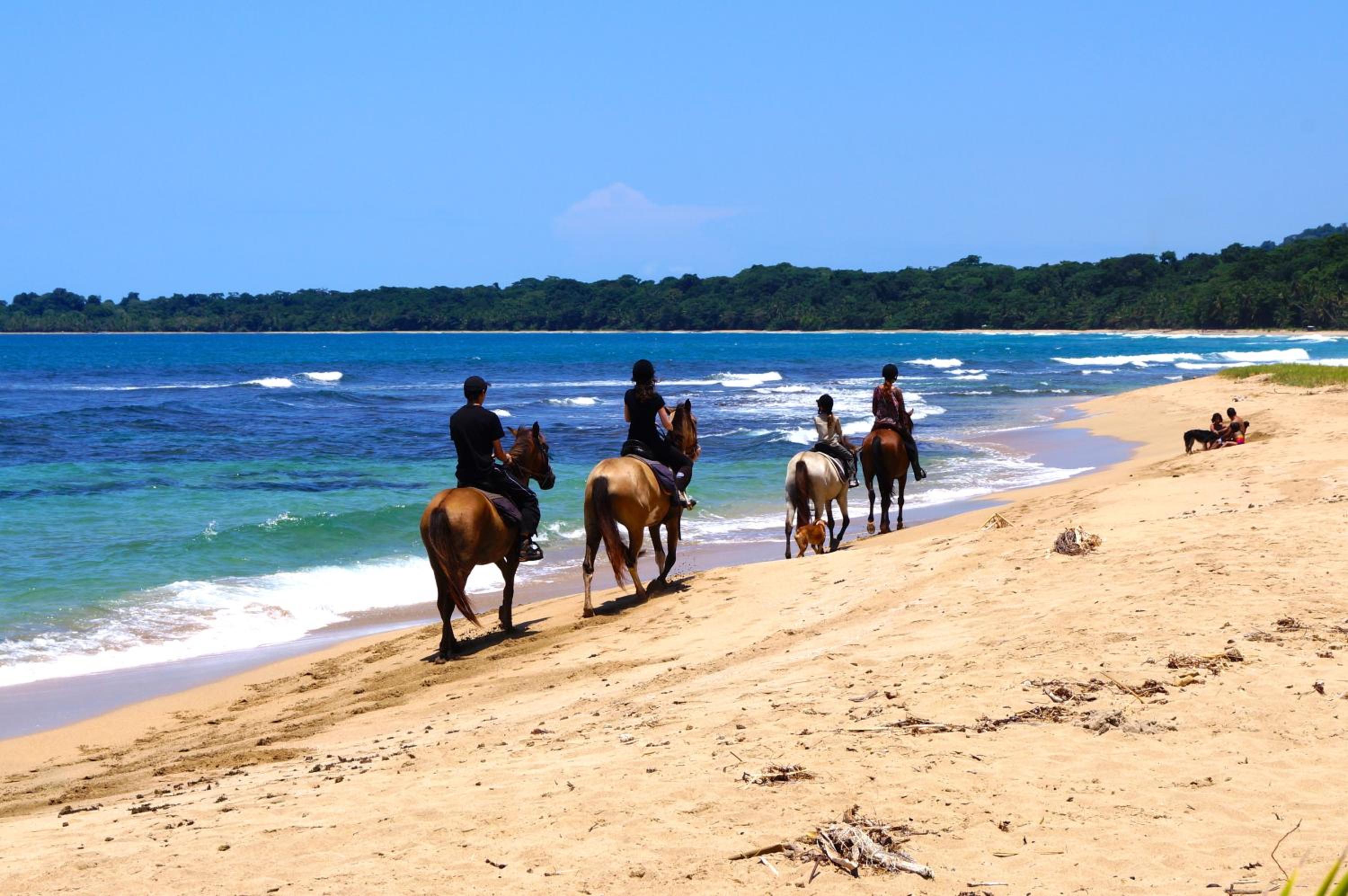 Costa Rica Caribbean Coast Vacations - Physis Caribbean Bed  Breakfast - Property Image 8