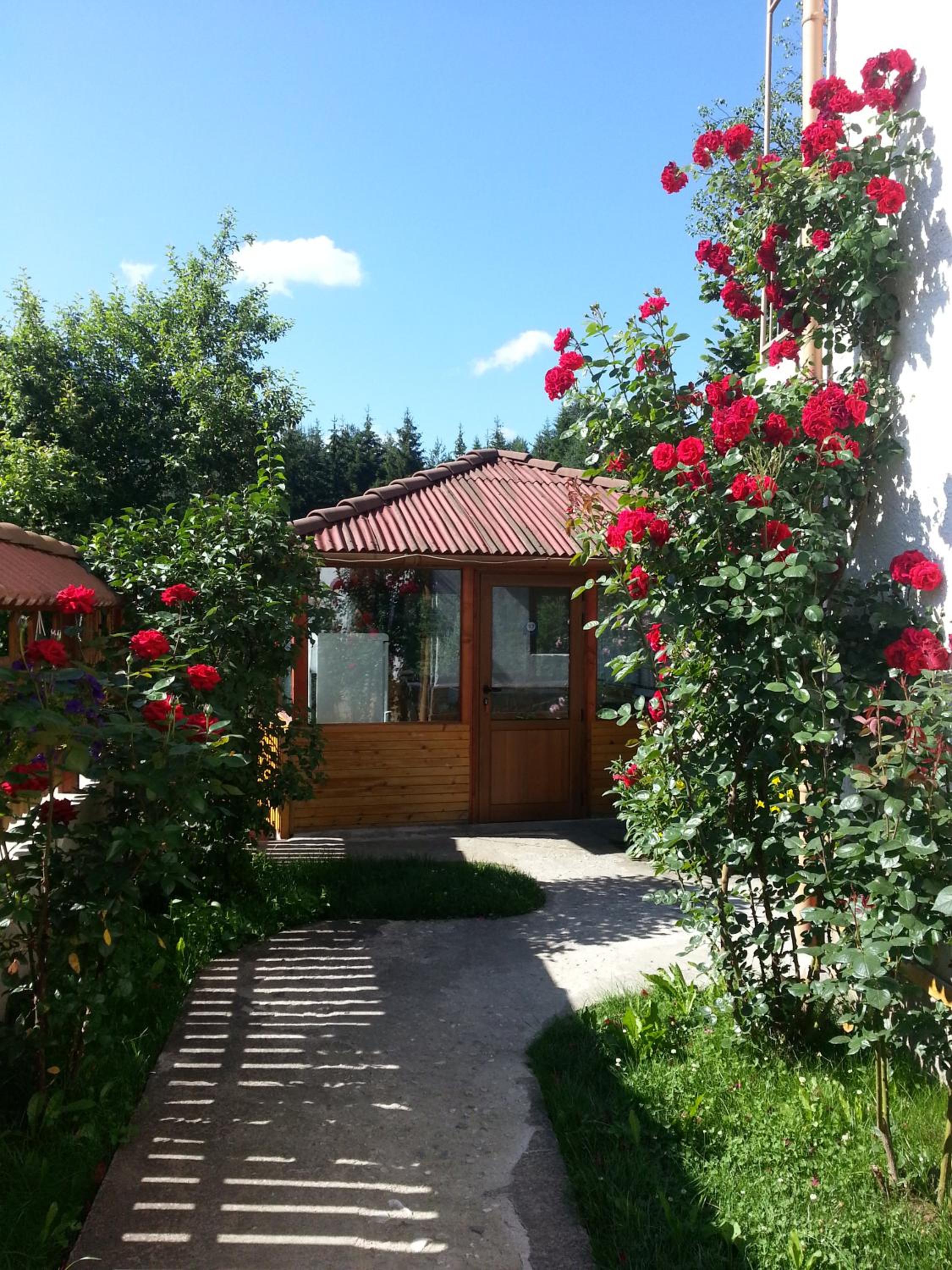 Guest House Stoletnika