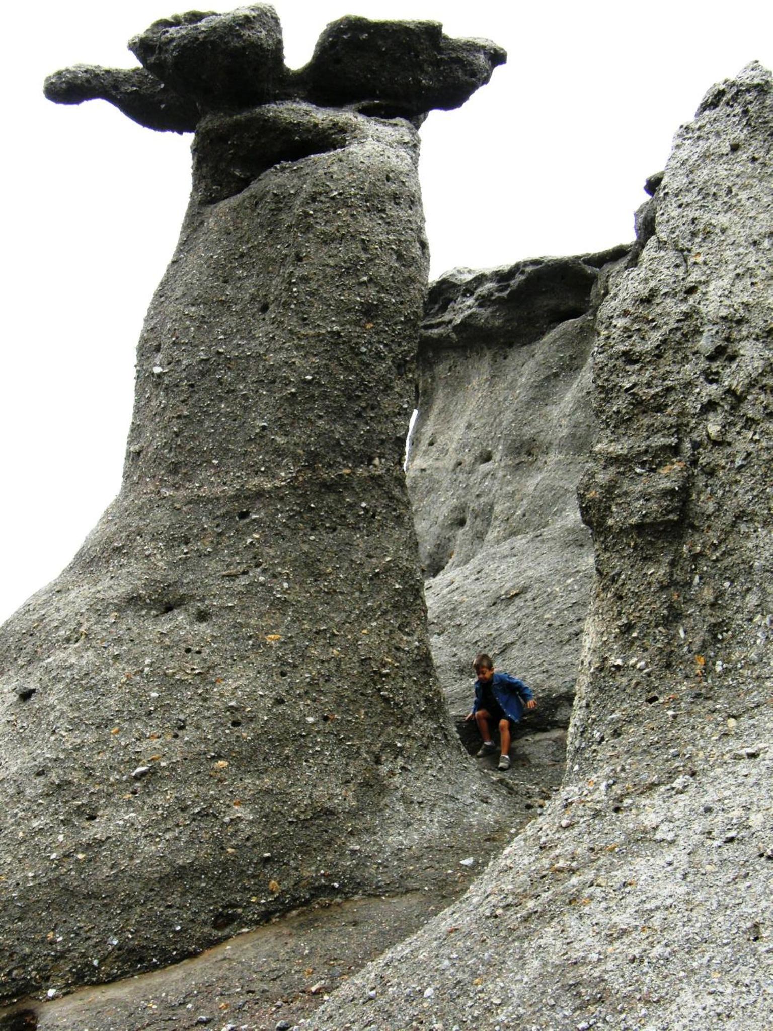 Photo 48