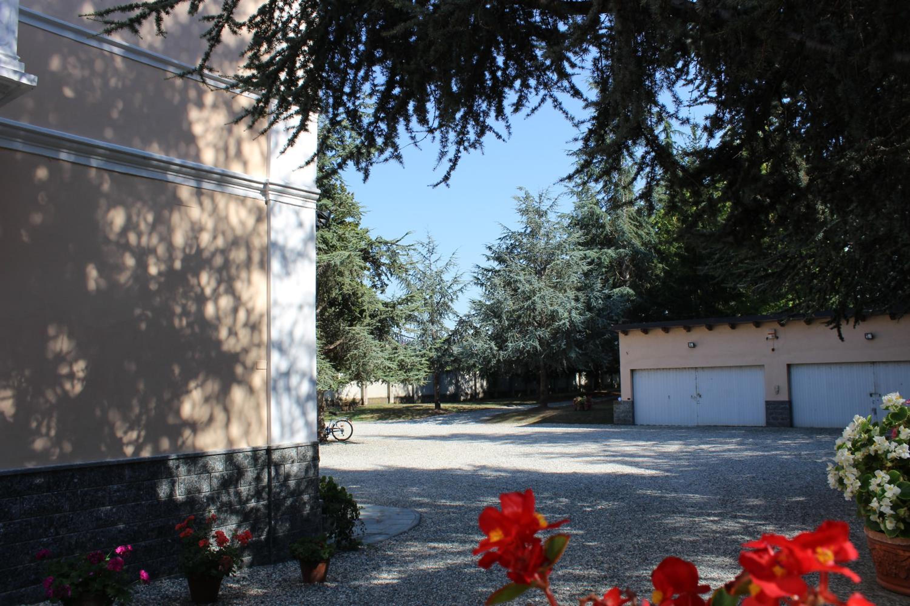 Photo 42