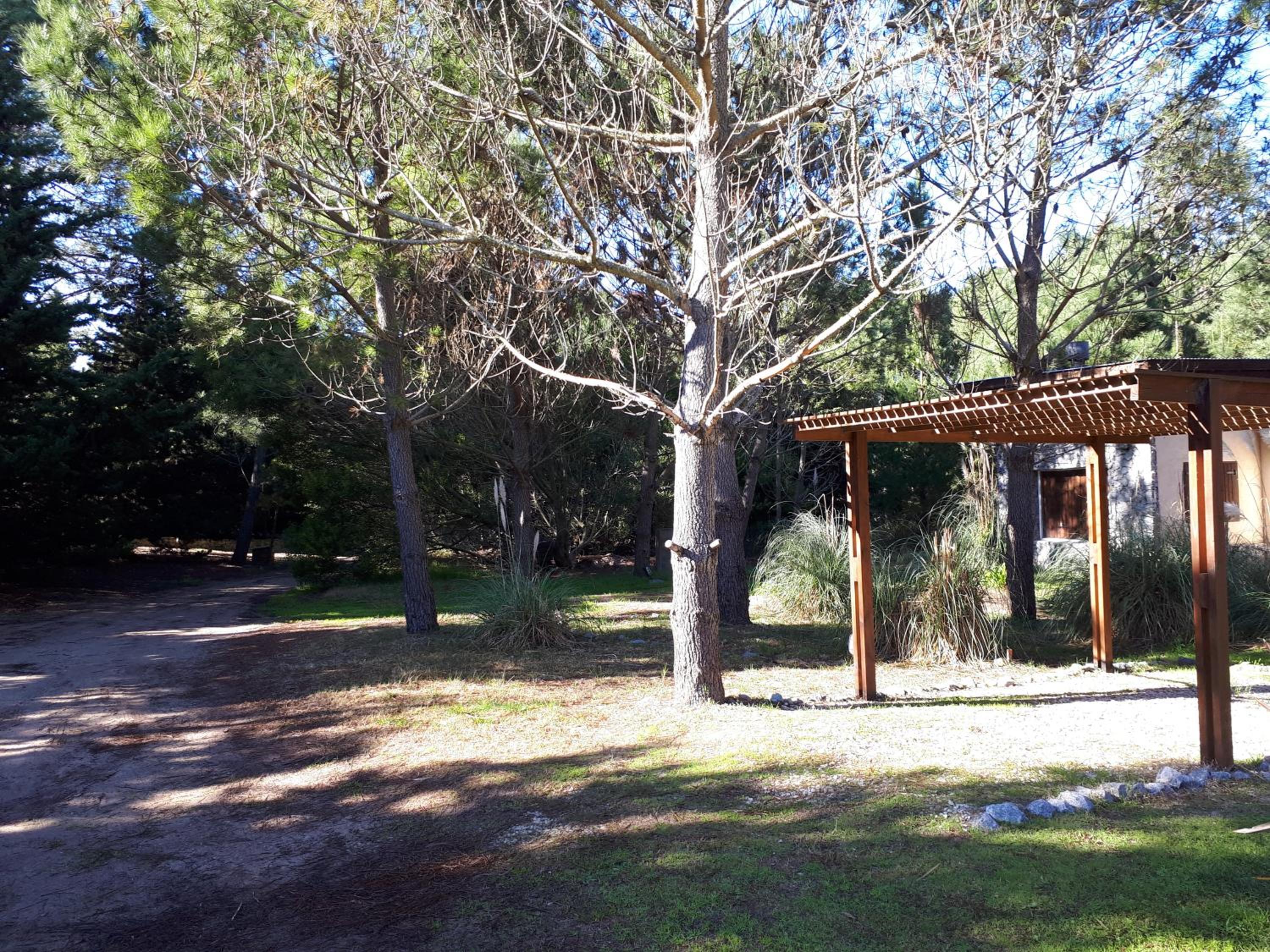 La Gringa, un espacio único en el medio del bosque