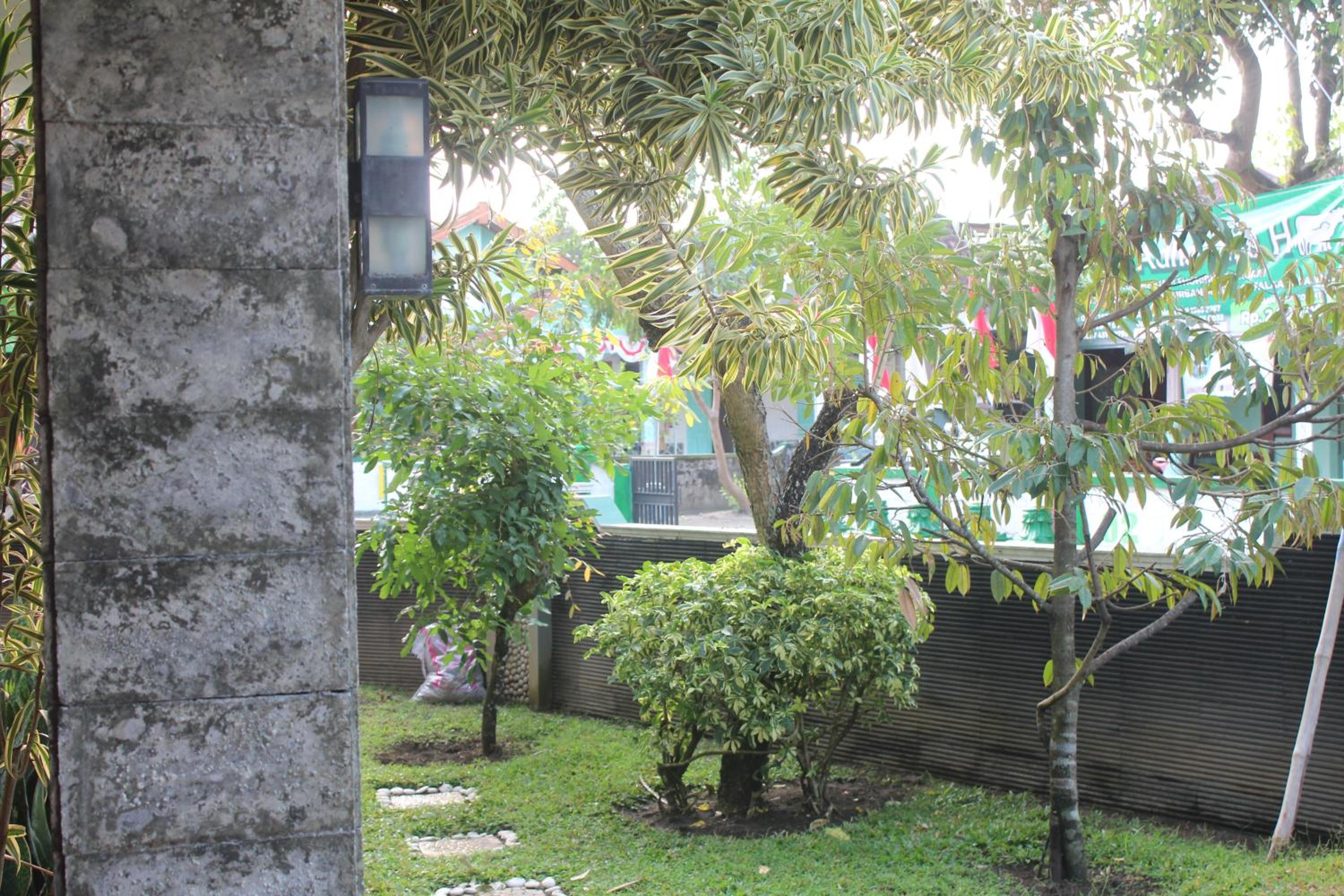 Rabbani Family Homestay view 4