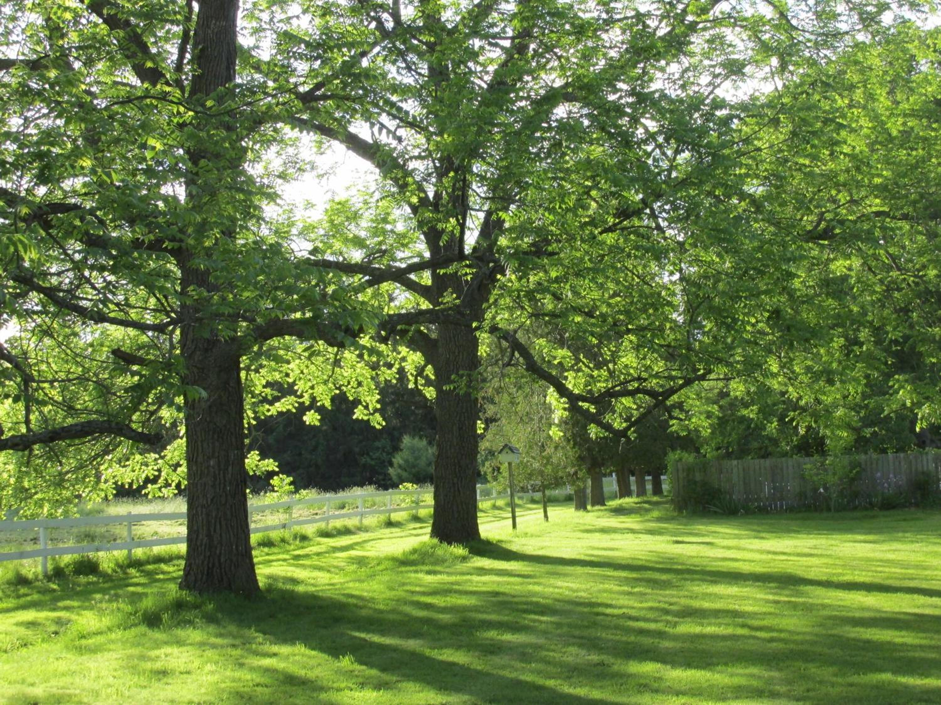 Burnbrae Farm & Paradise Inn