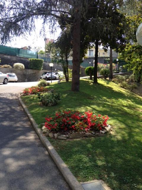 Photo 39
