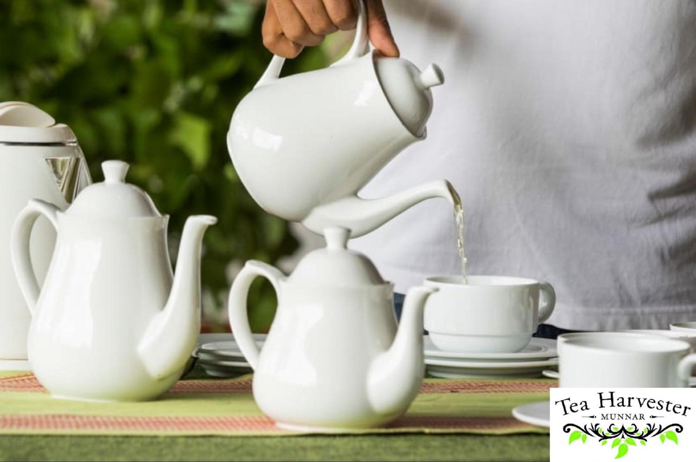 Tea Harvester