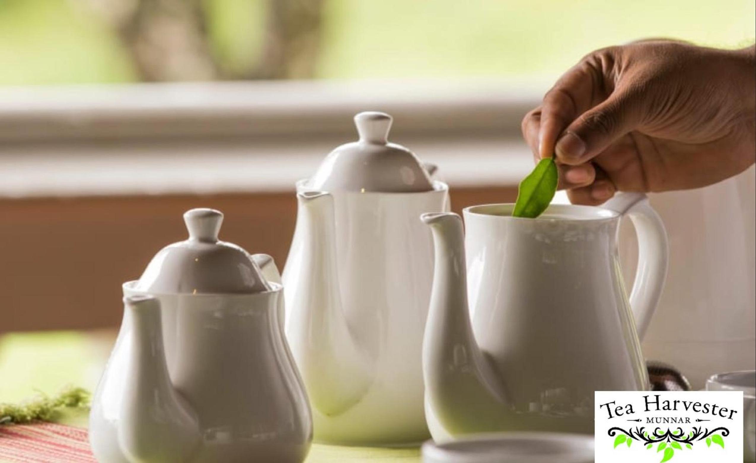 Tea Harvester