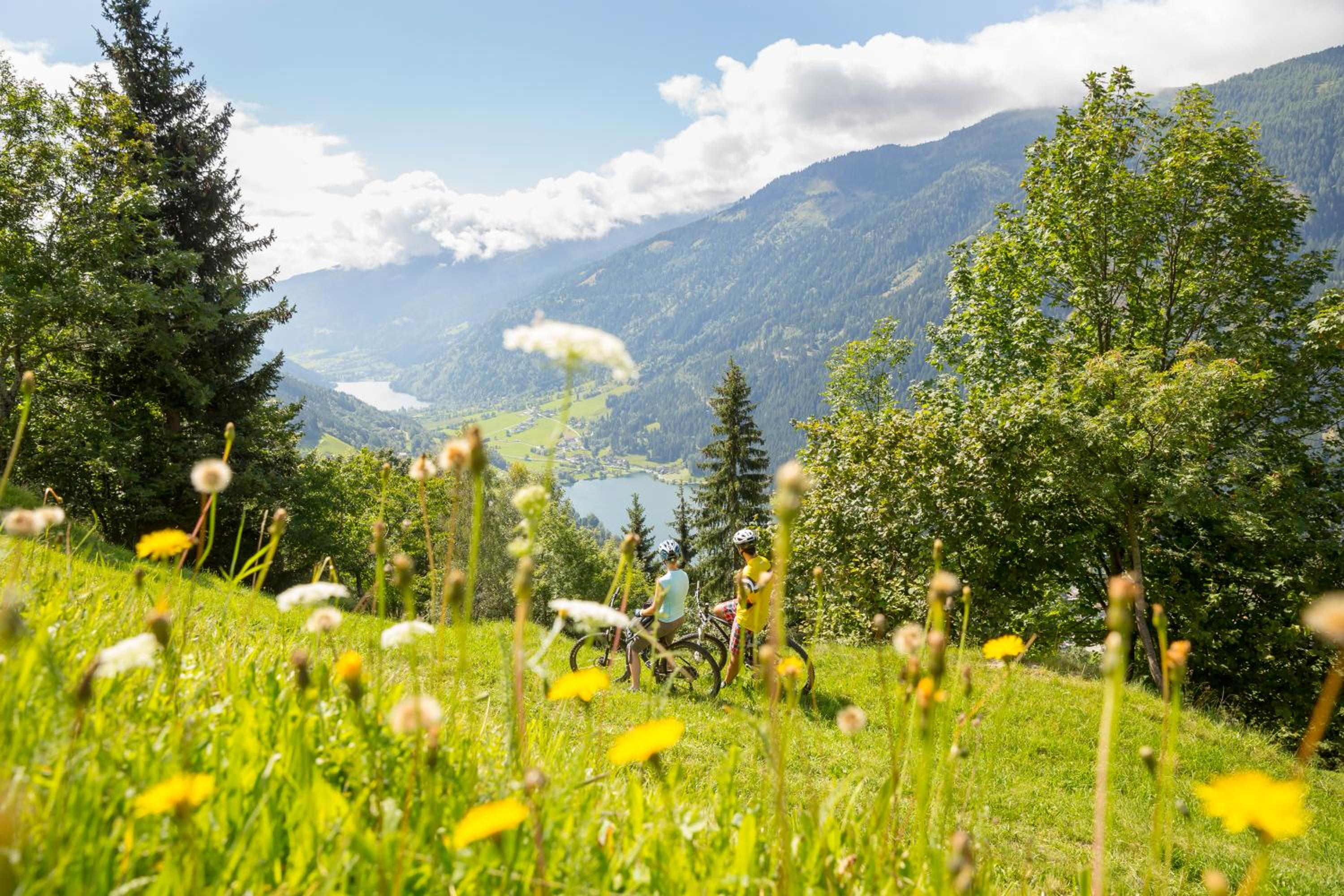 Ferienwohnung Brennseeblick
