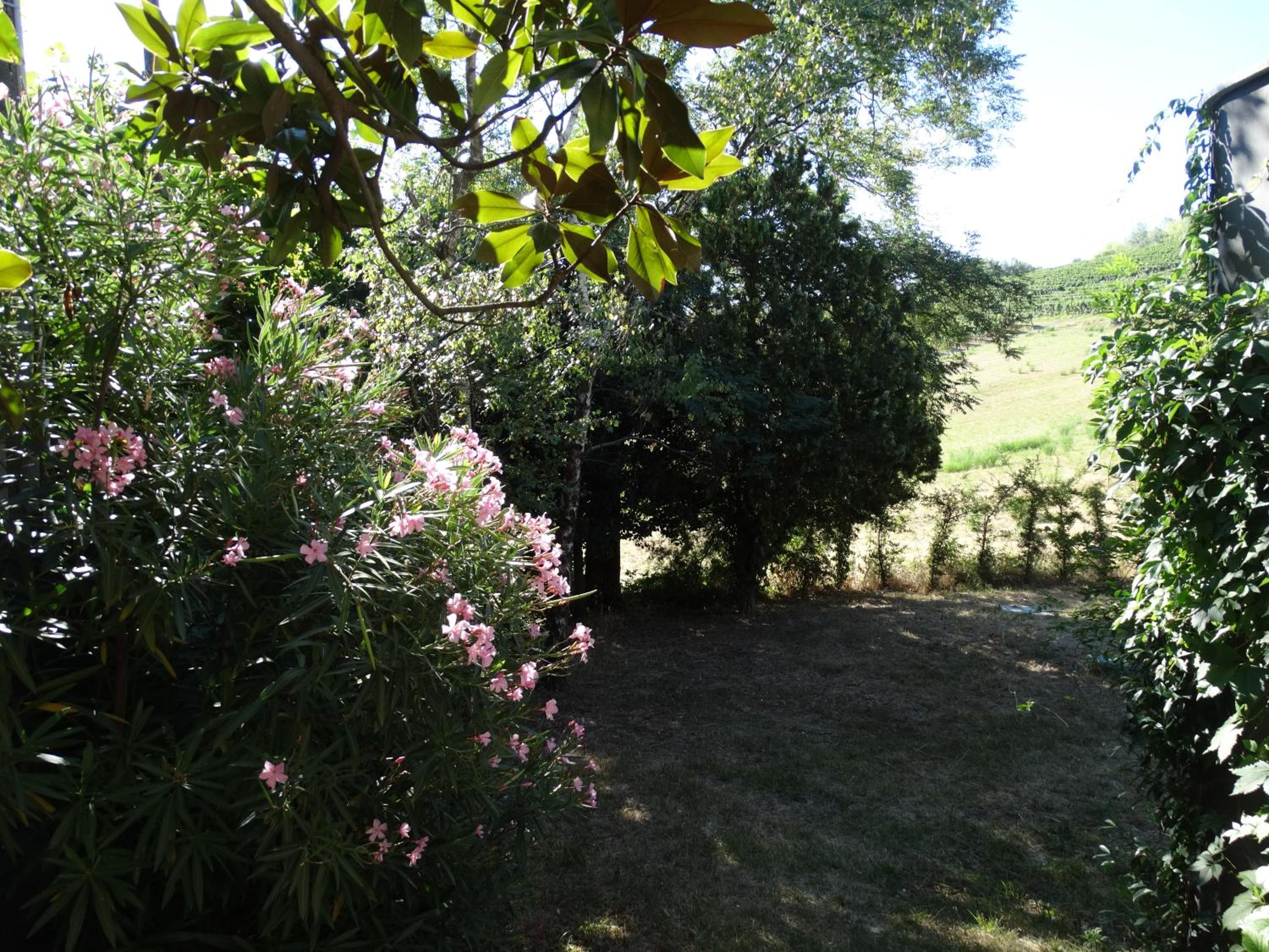 Photo 35