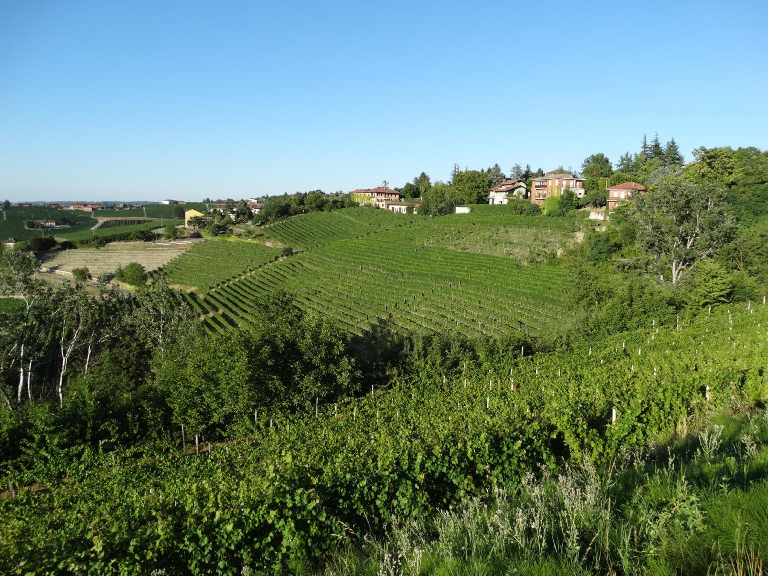 Photo 44