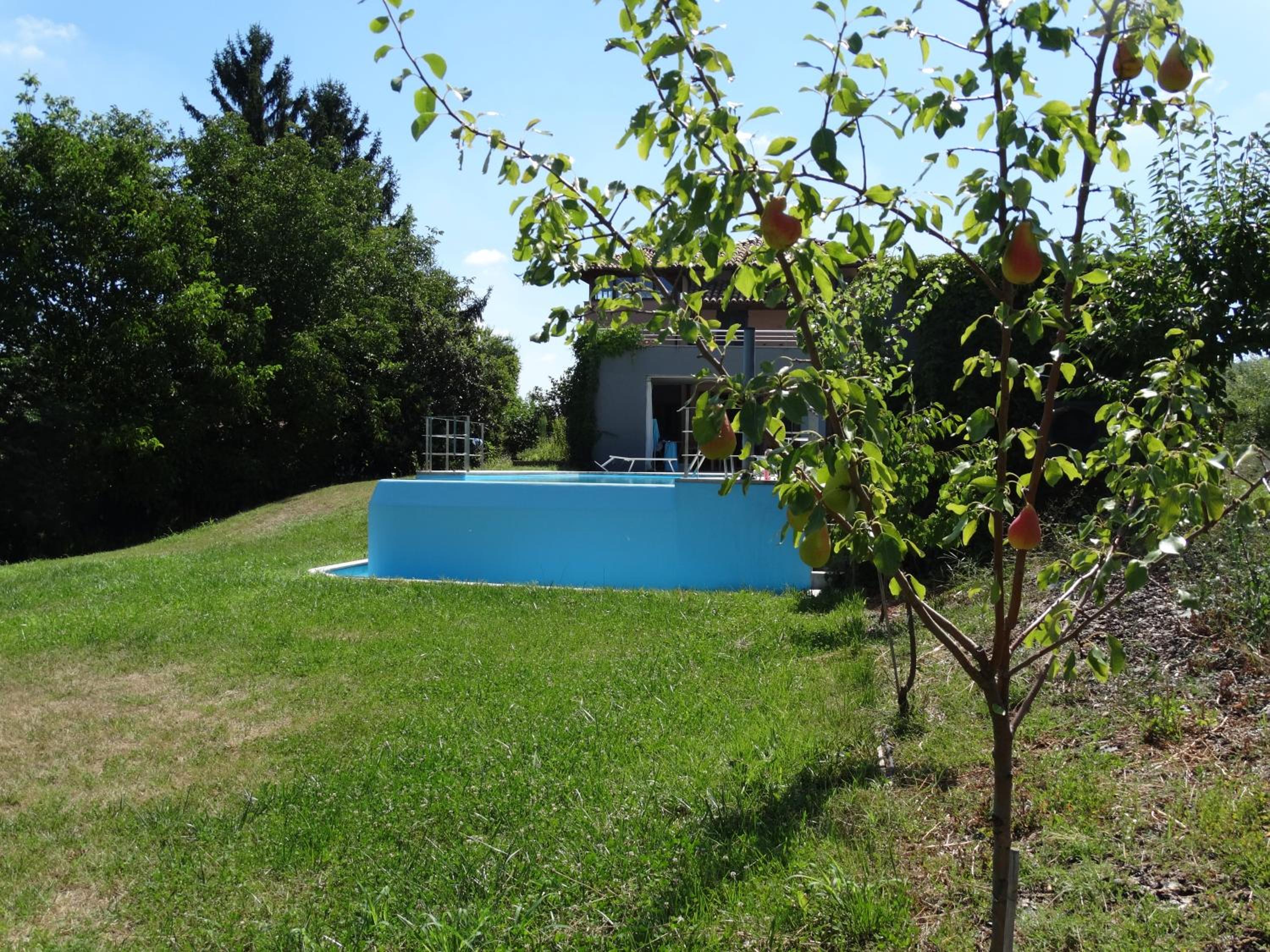 Photo 46