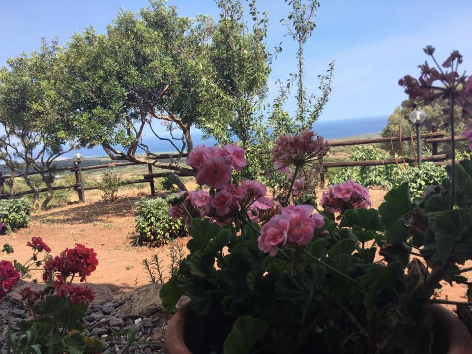 Agriturismo Su Nuragheddu view 5