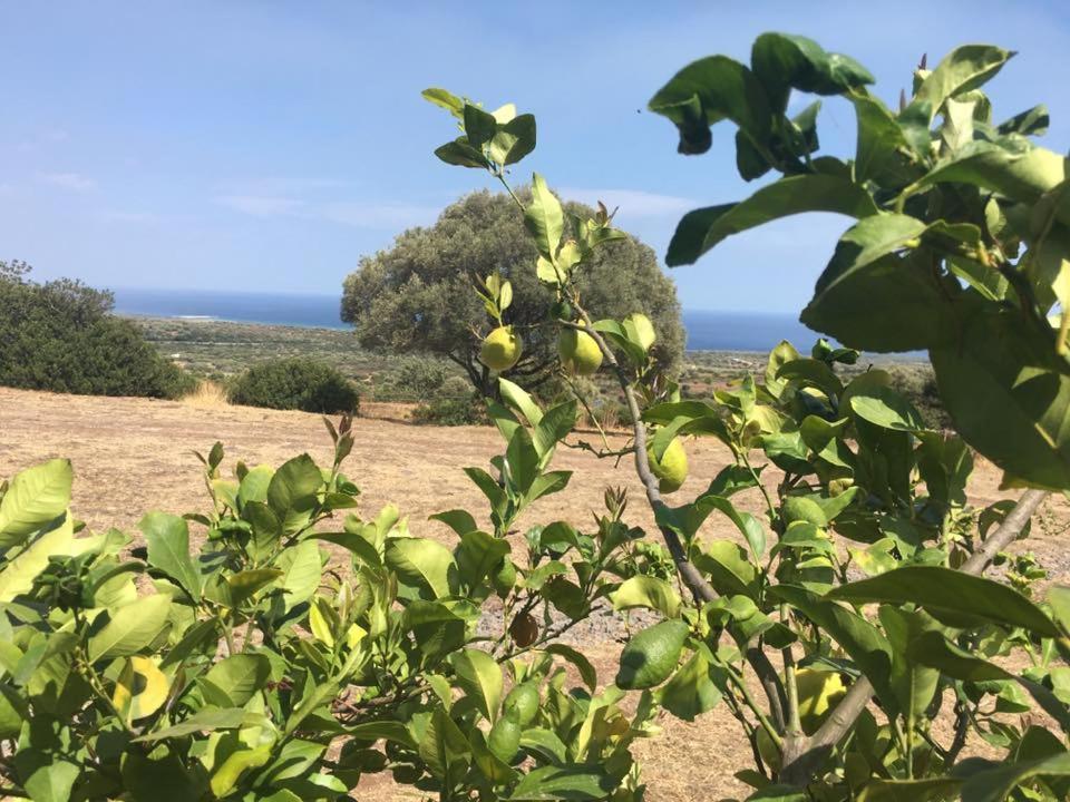 Agriturismo Su Nuragheddu view 3