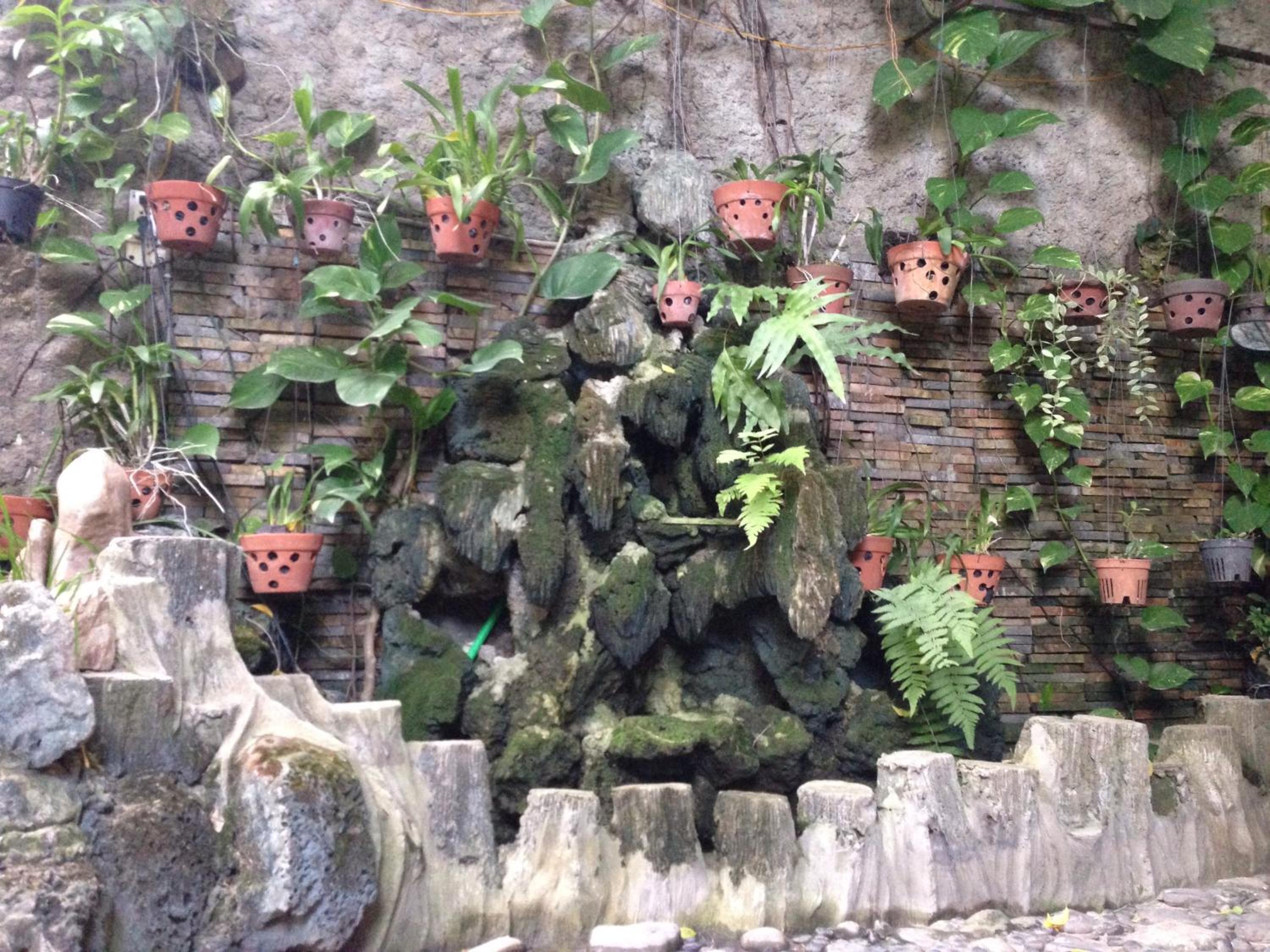 Photo 45