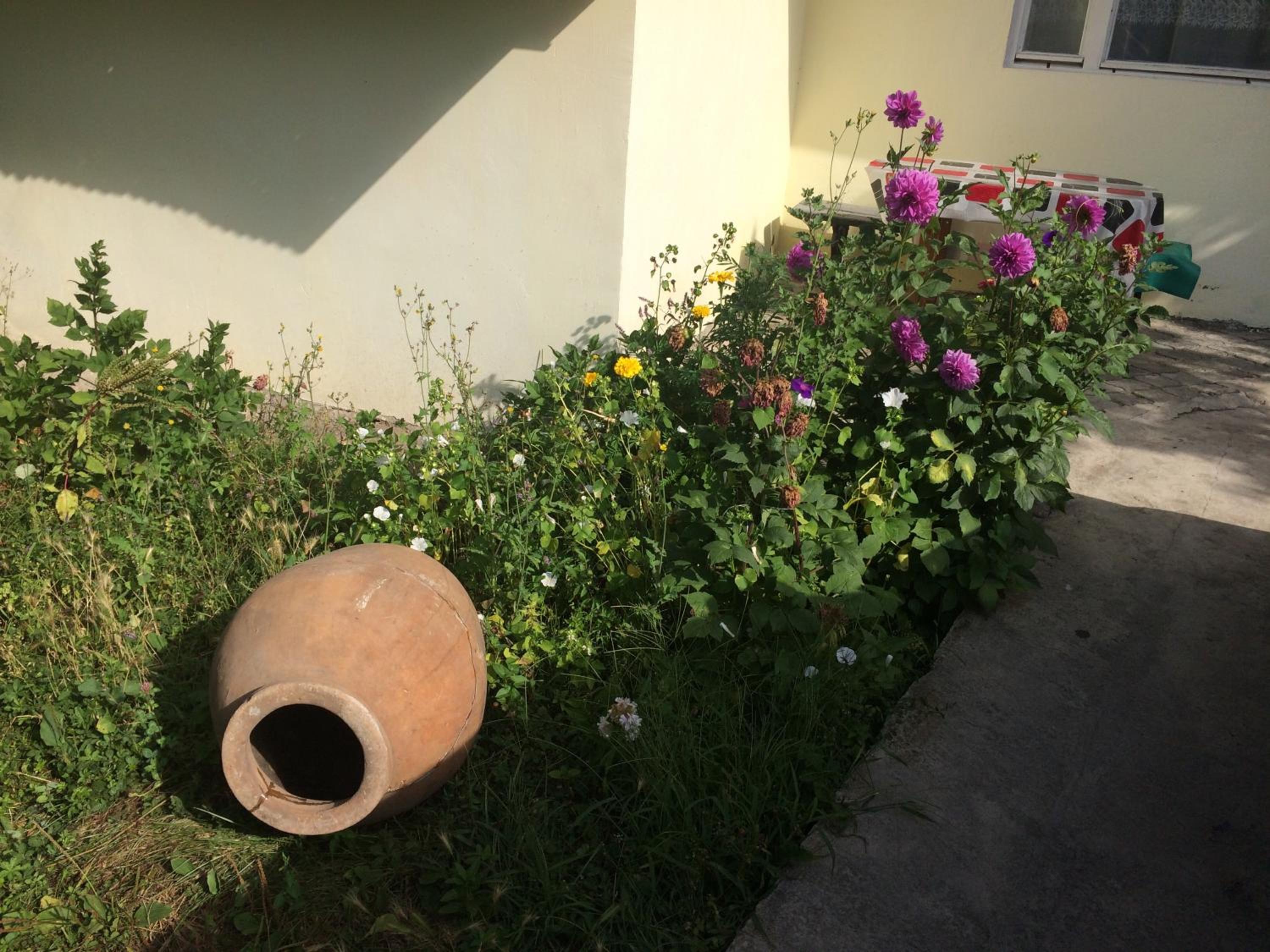 Gokor Guesthouse