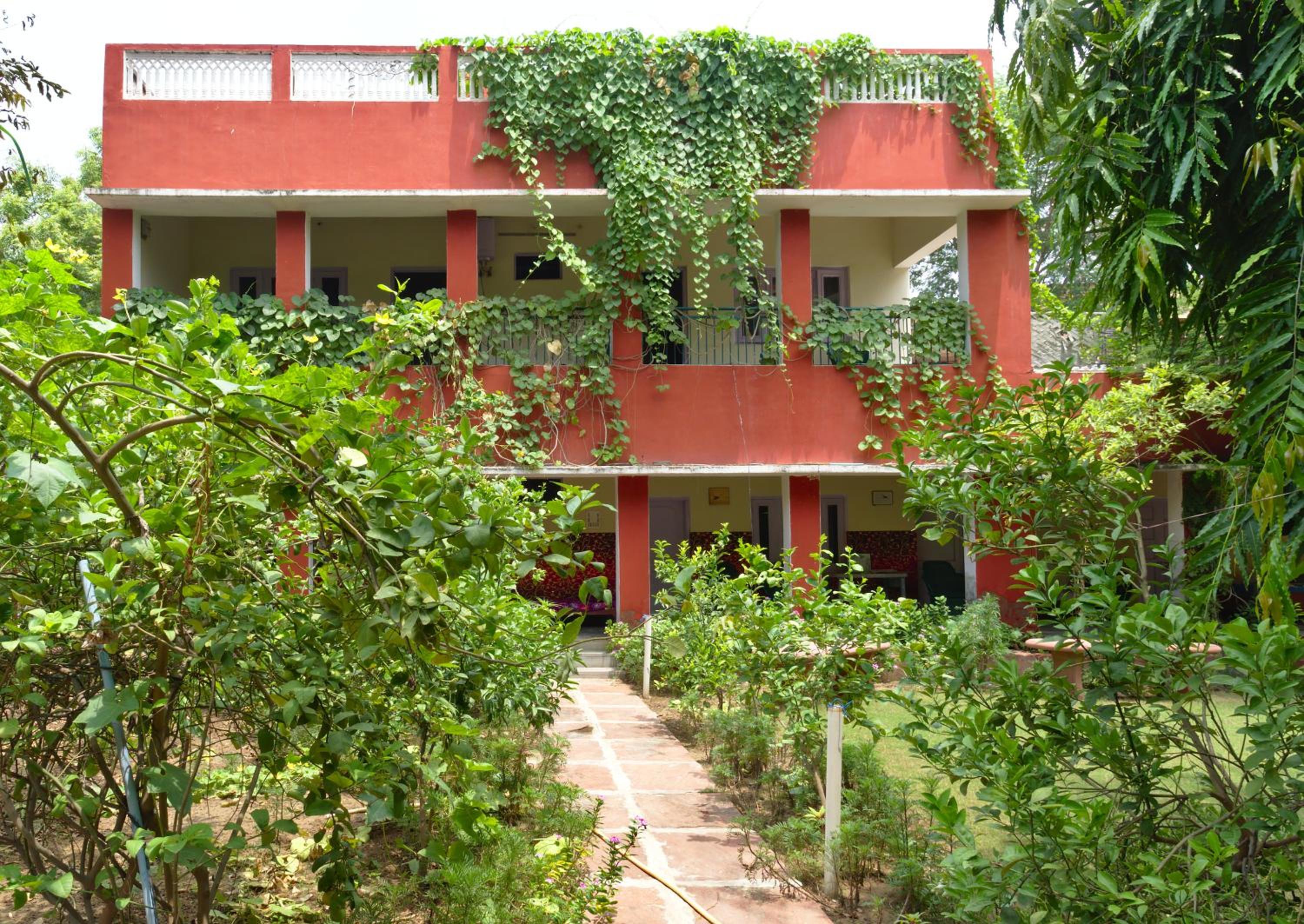 Jungle Lodge