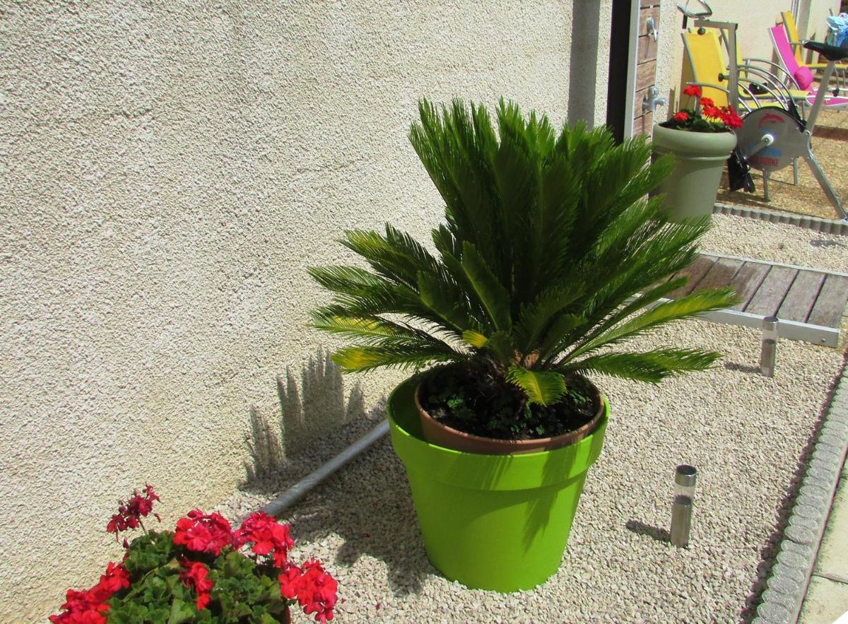 Photo 23