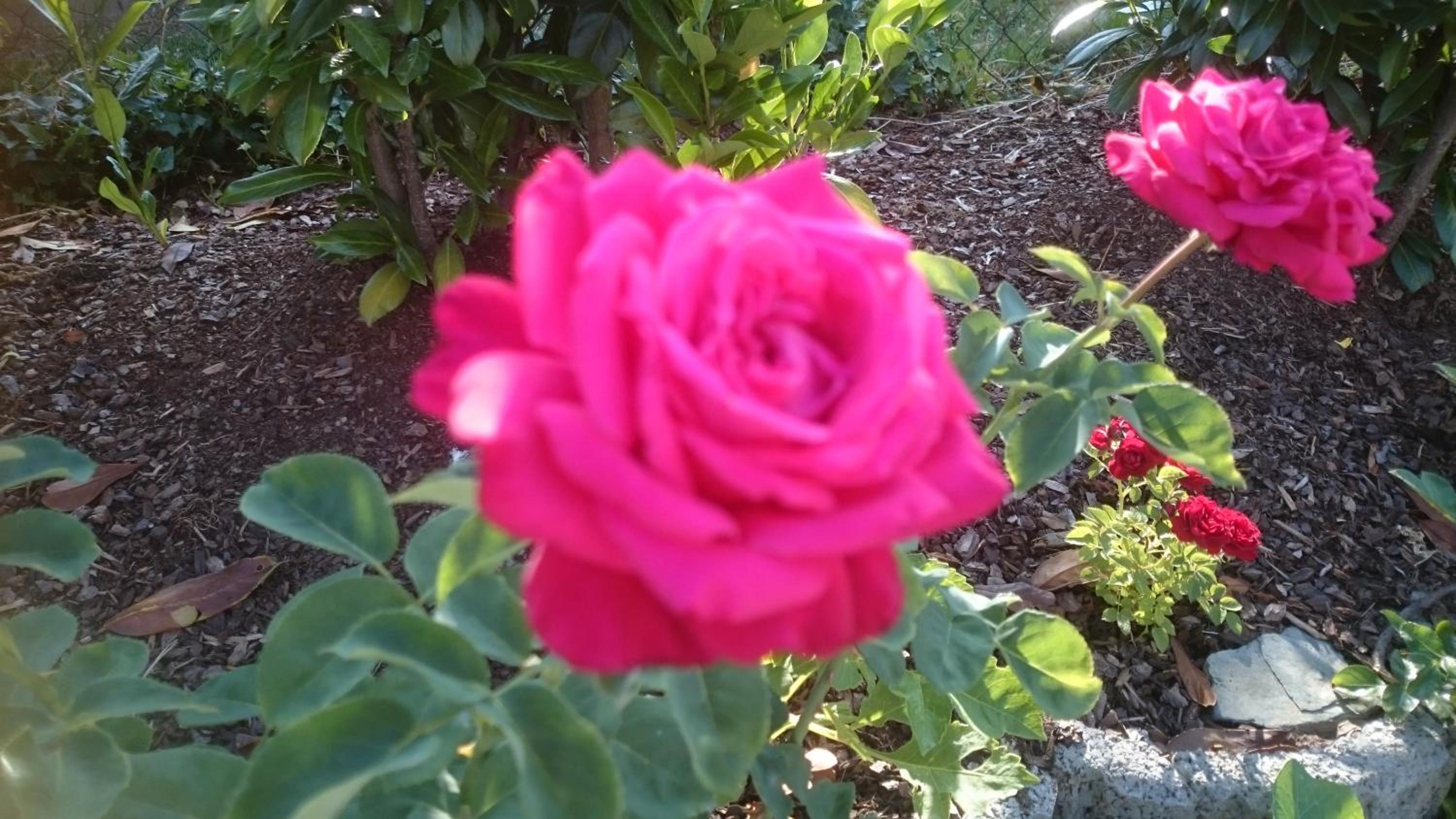 Photo 15