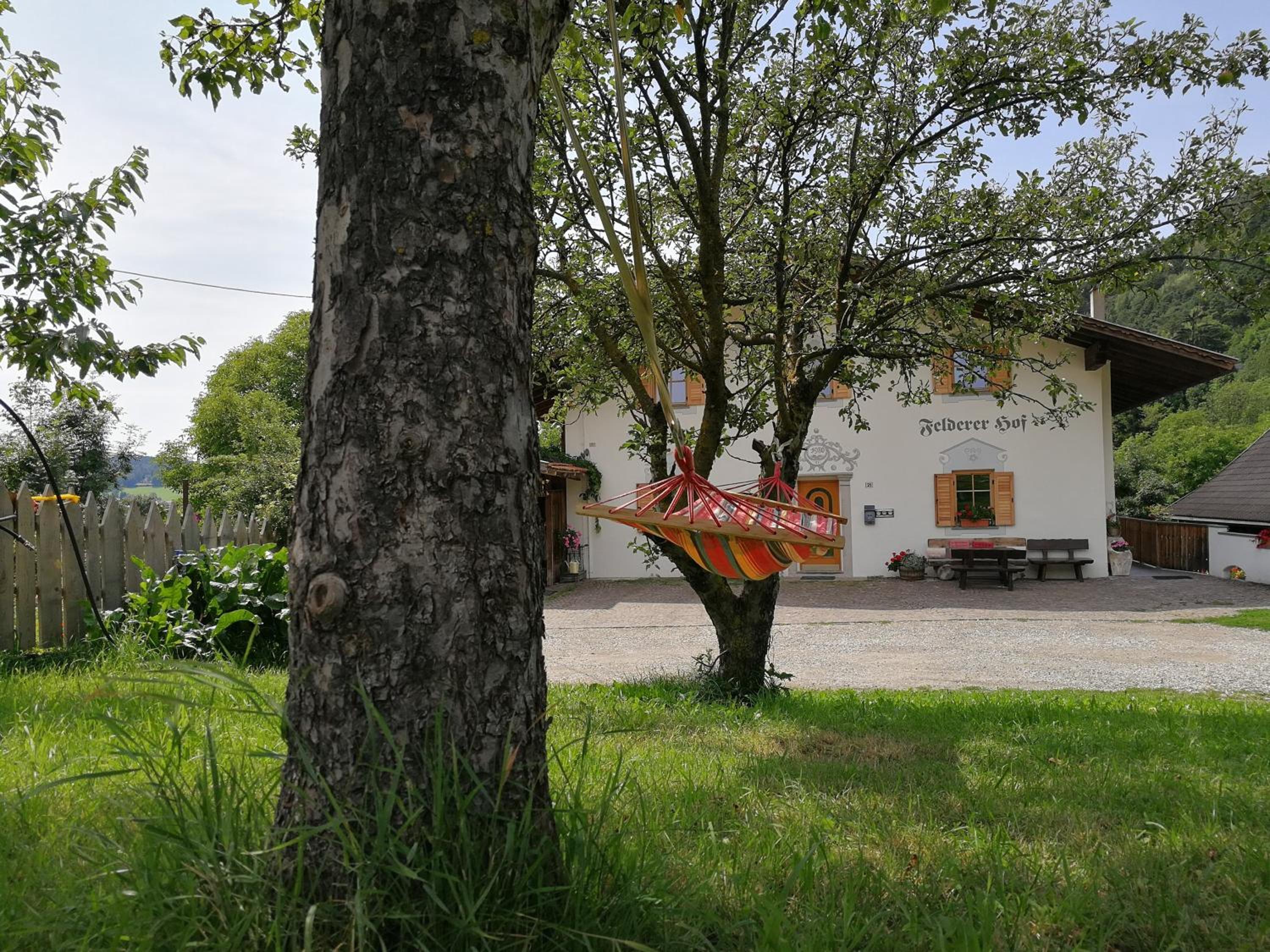 Feldererhof photo 4