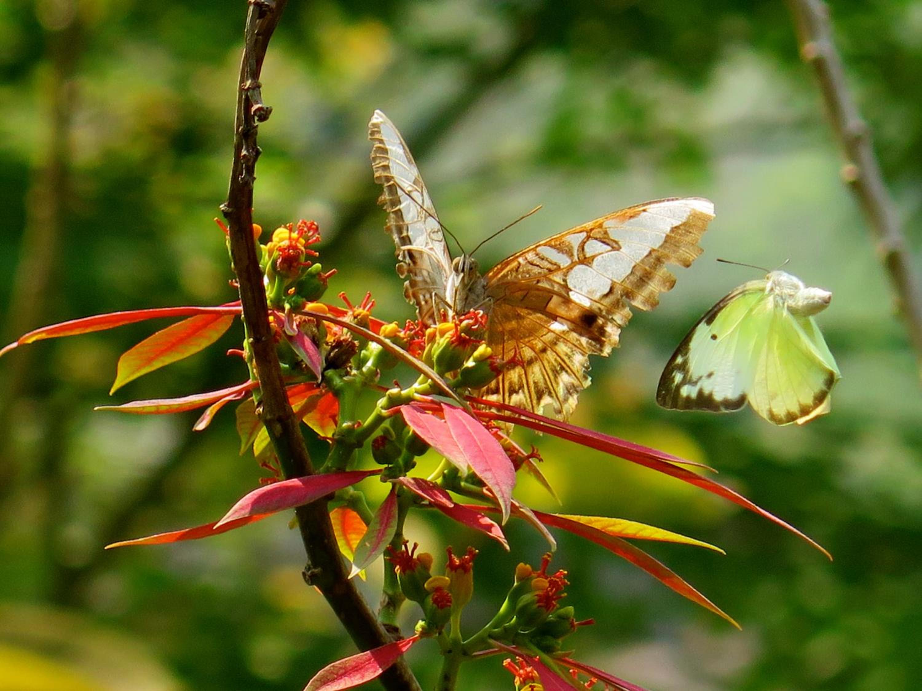 Hillside - Nature Lifestyle Lodge — photo 54