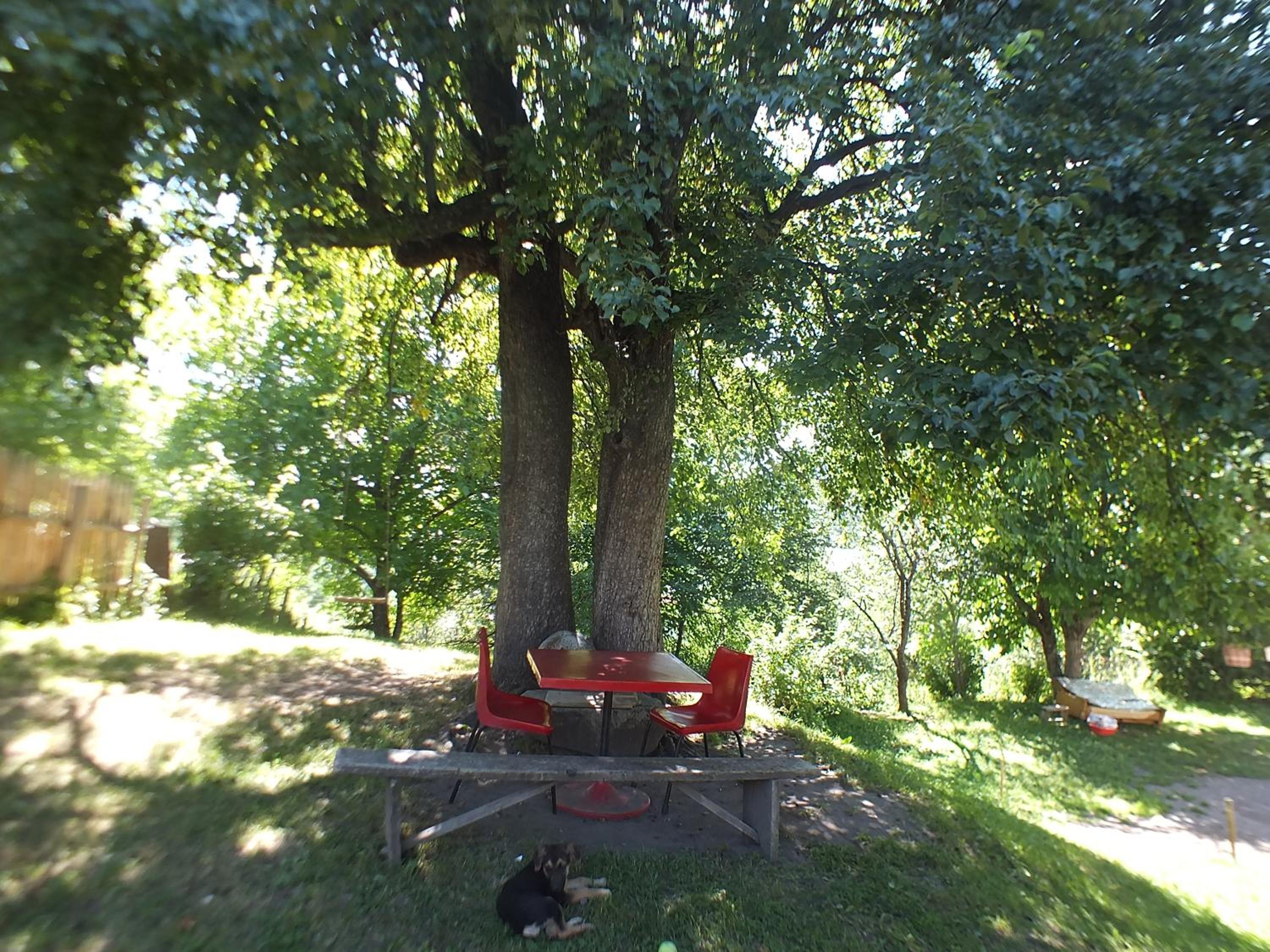 Photo 27
