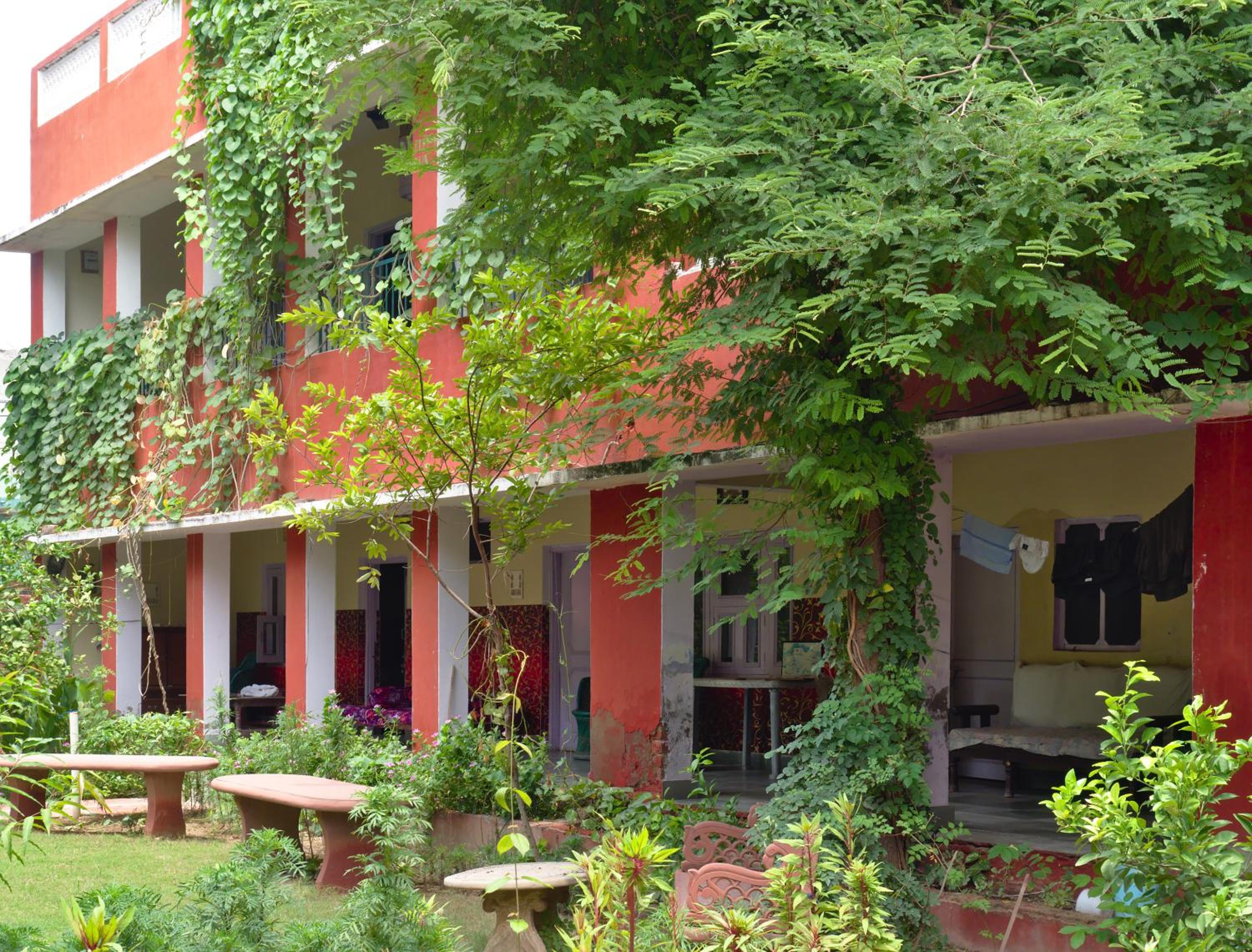 Jungle Lodge