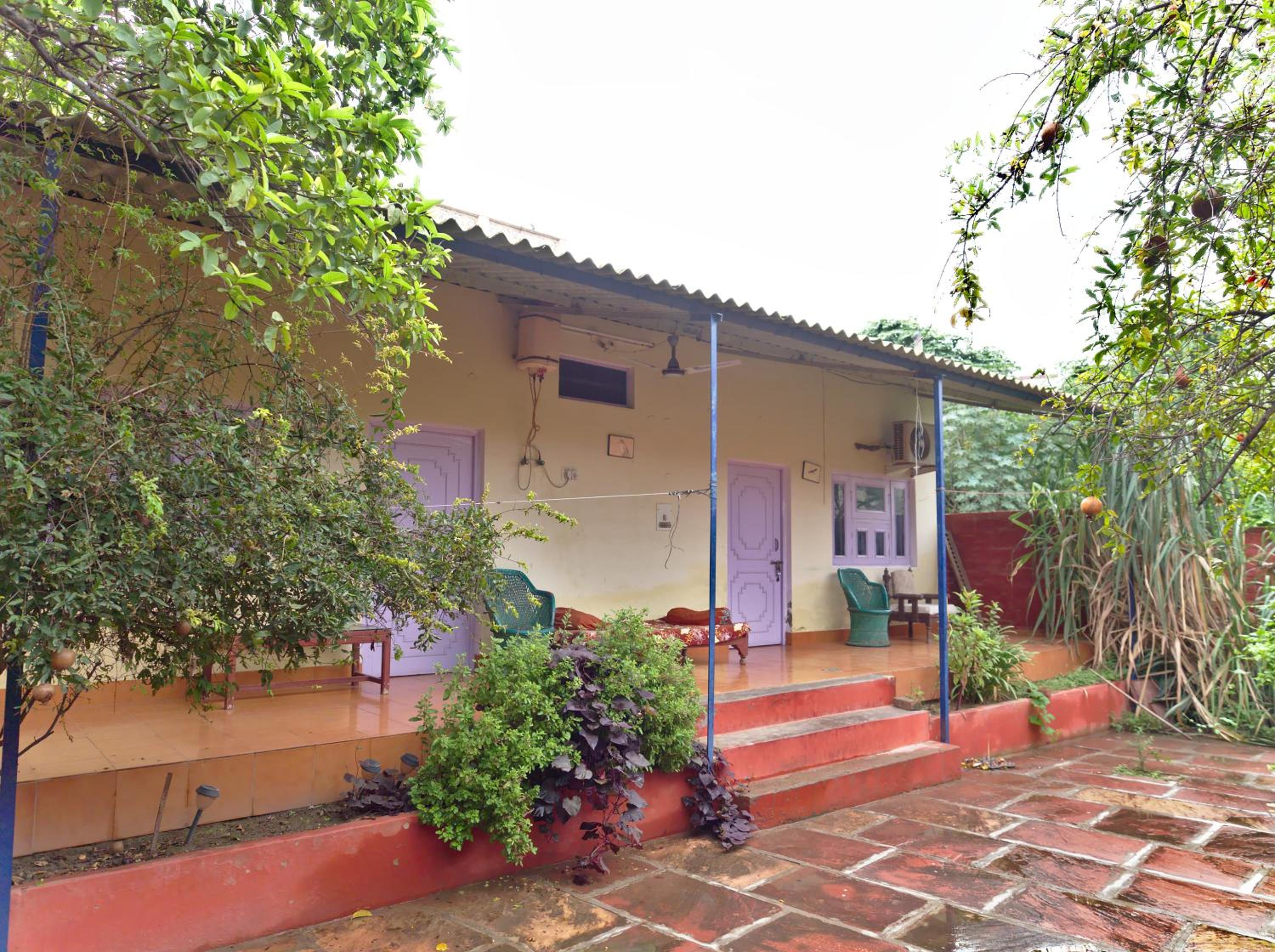 Jungle Lodge
