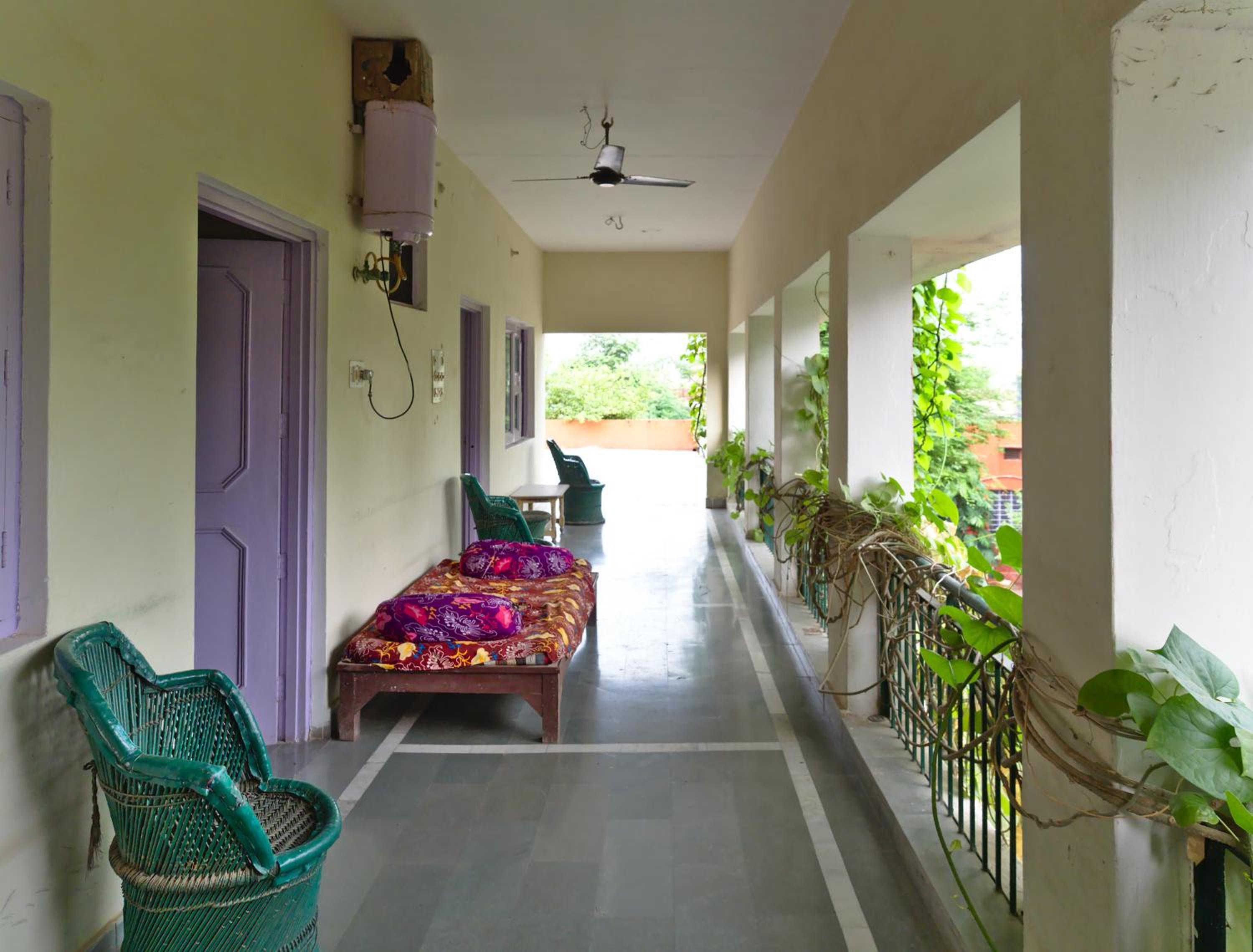 Jungle Lodge