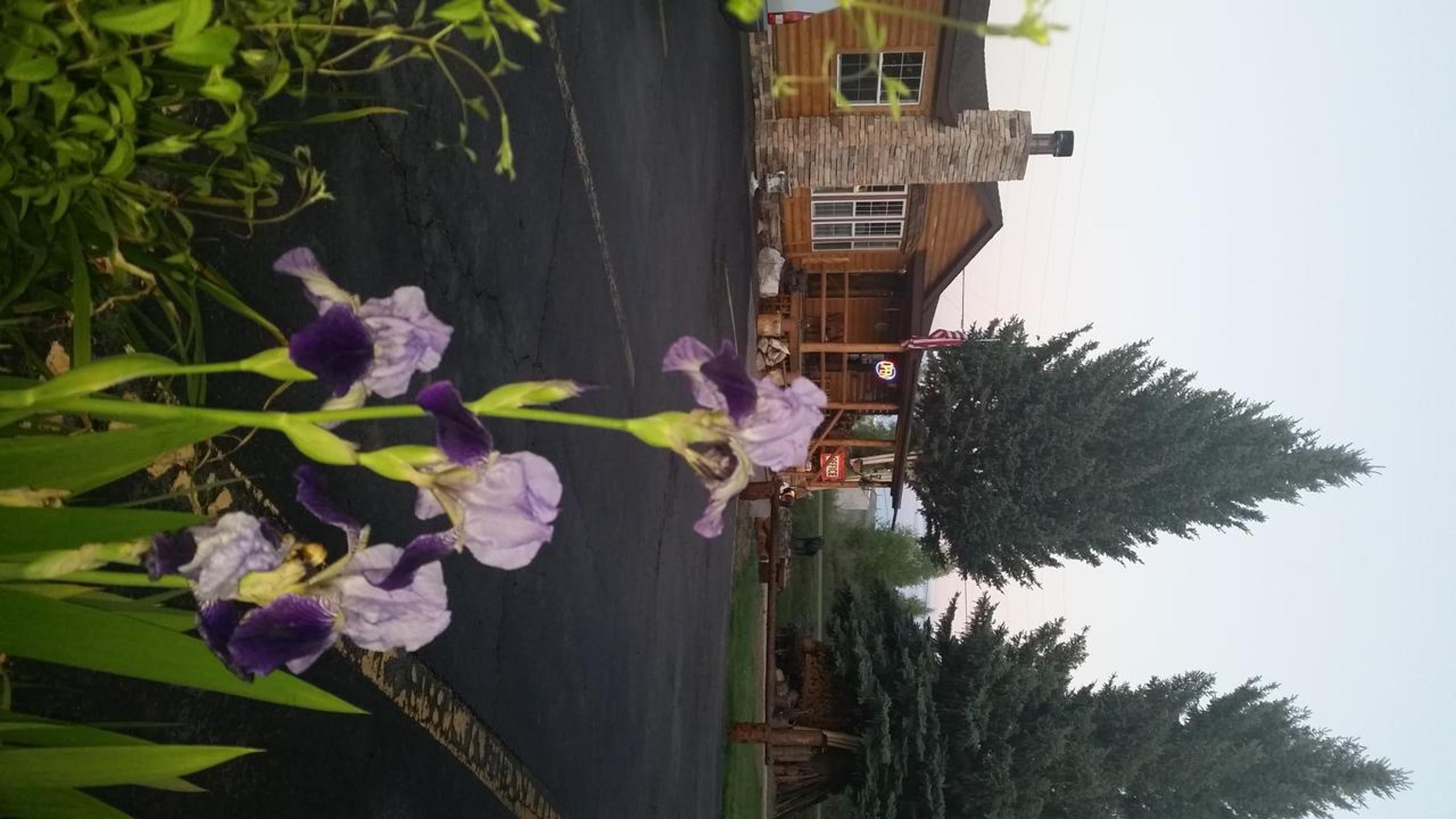 Gunnison Vacations - Long Holiday Motel - Property Image 22