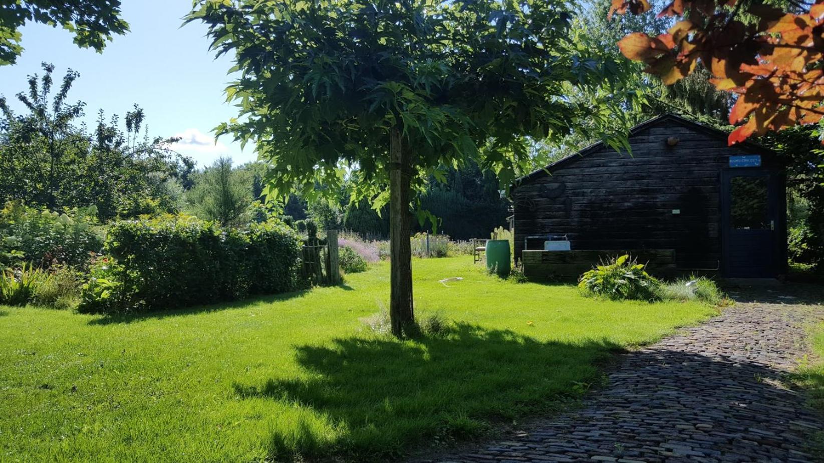 Photo 20