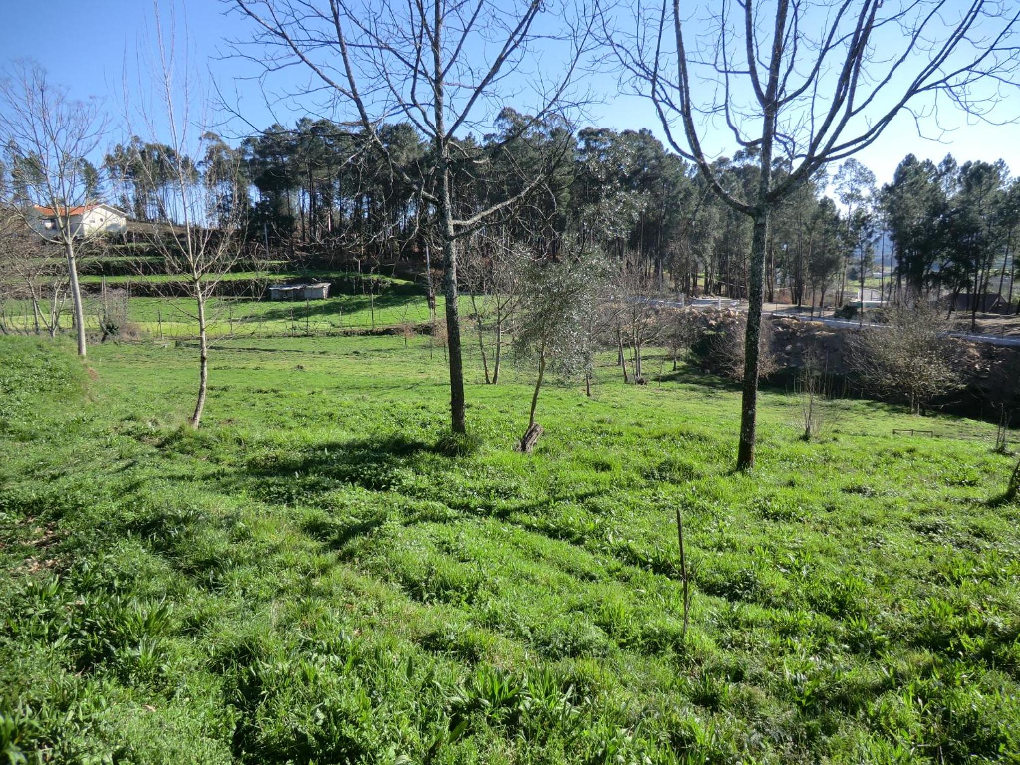 Photo 45