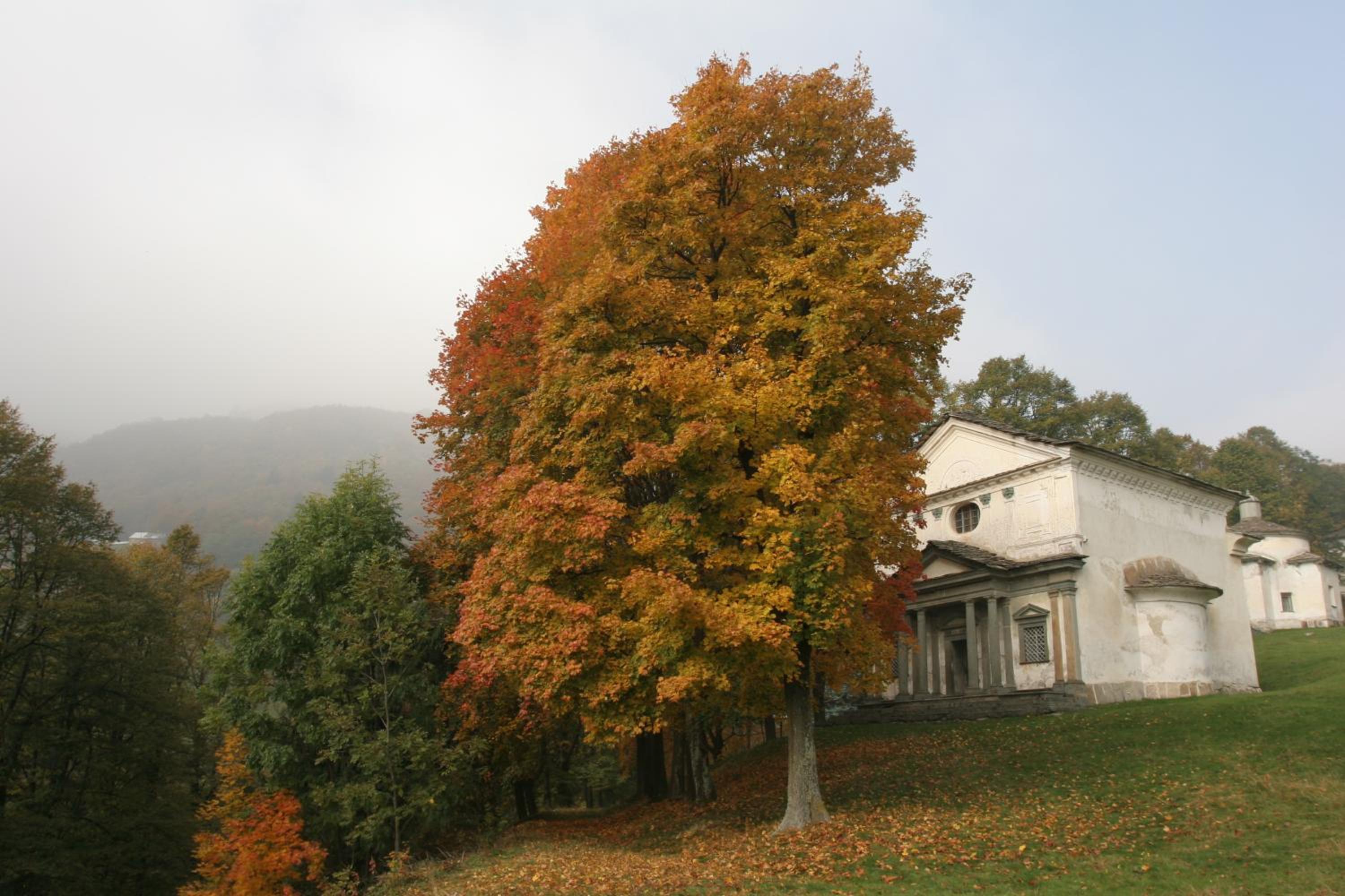 Photo 27
