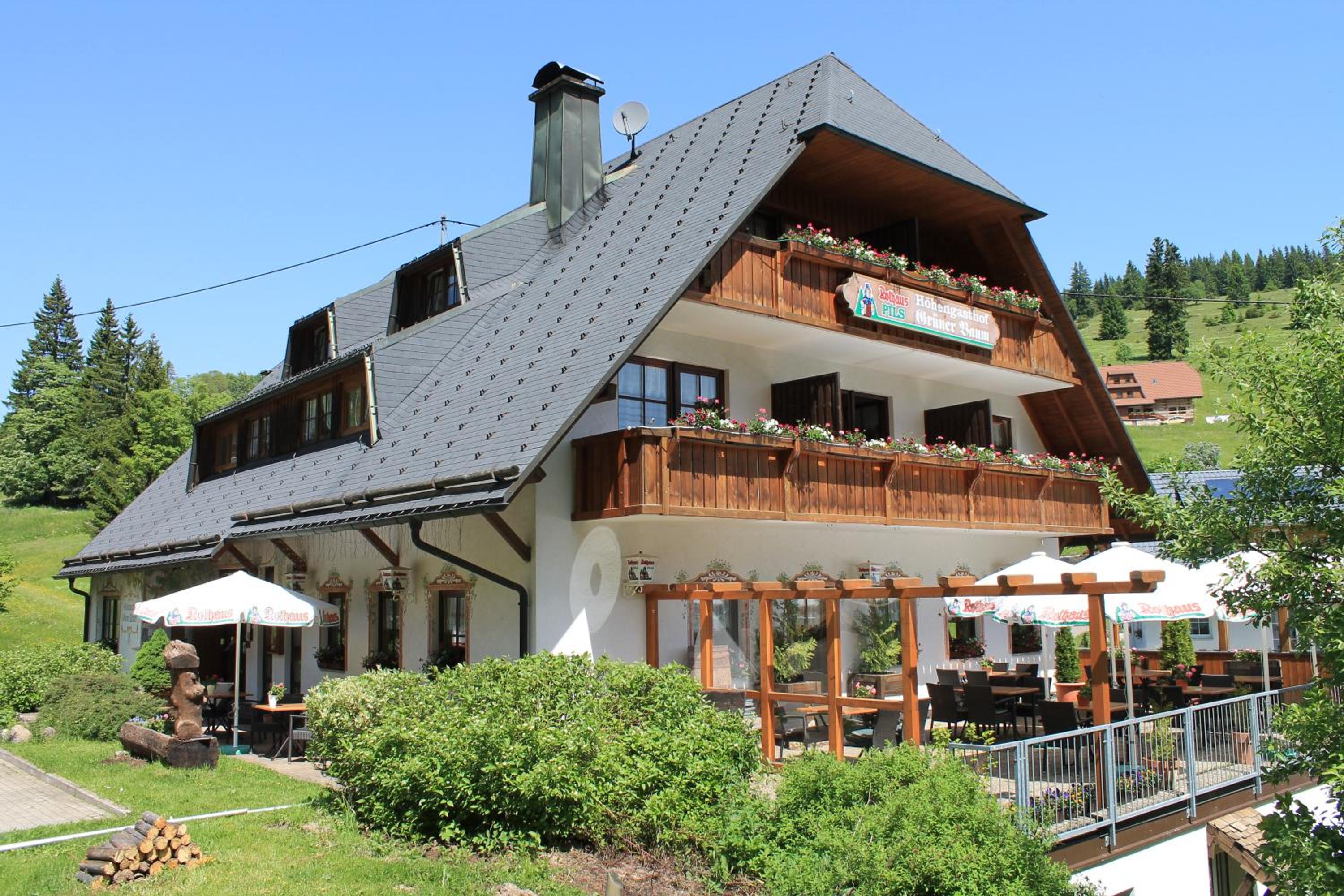 Hotel & Restaurant Grüner Baum - Die Grüne Oase Am Feldberg - Image 1