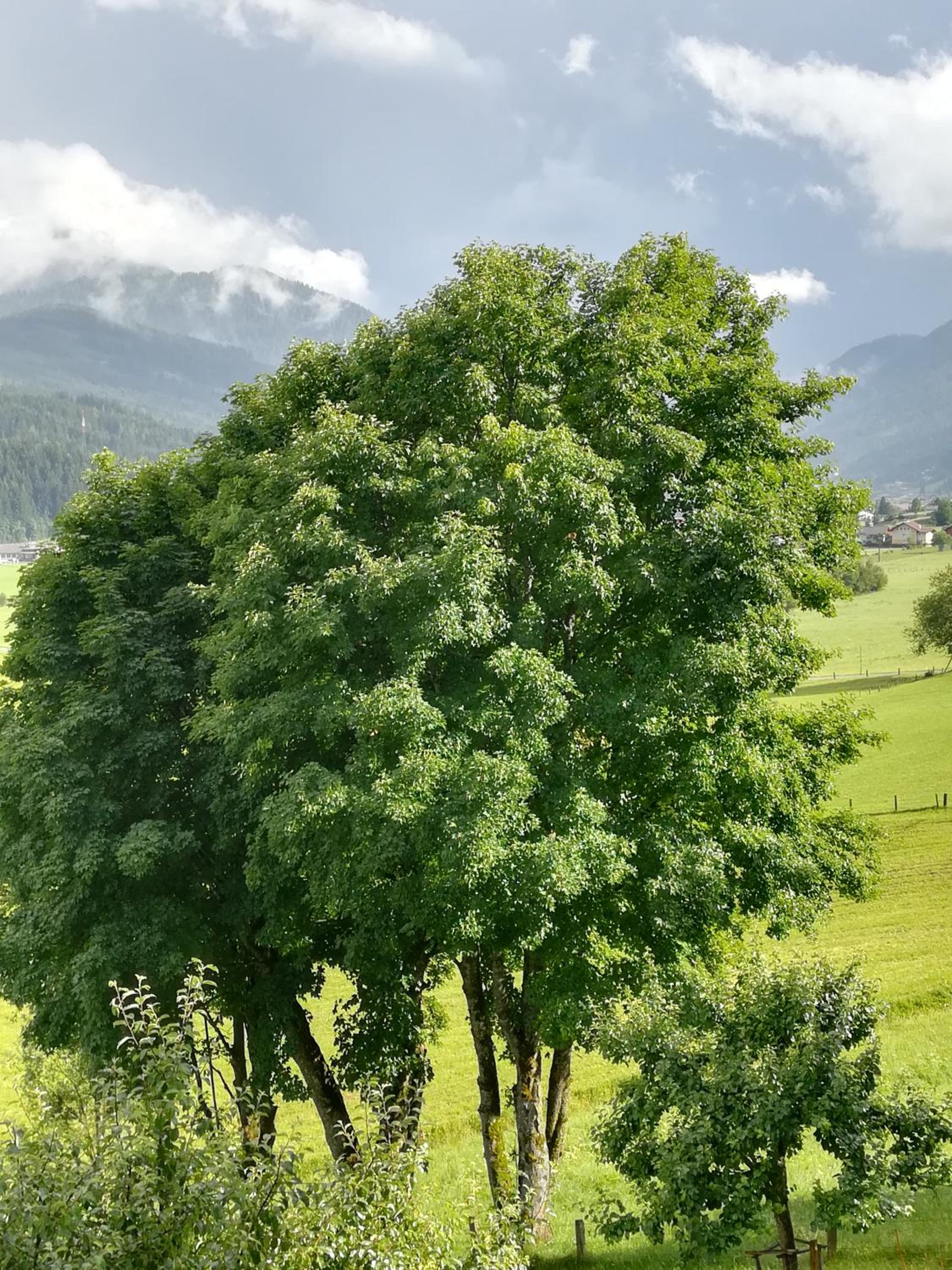 Bauernhof Unterbichl