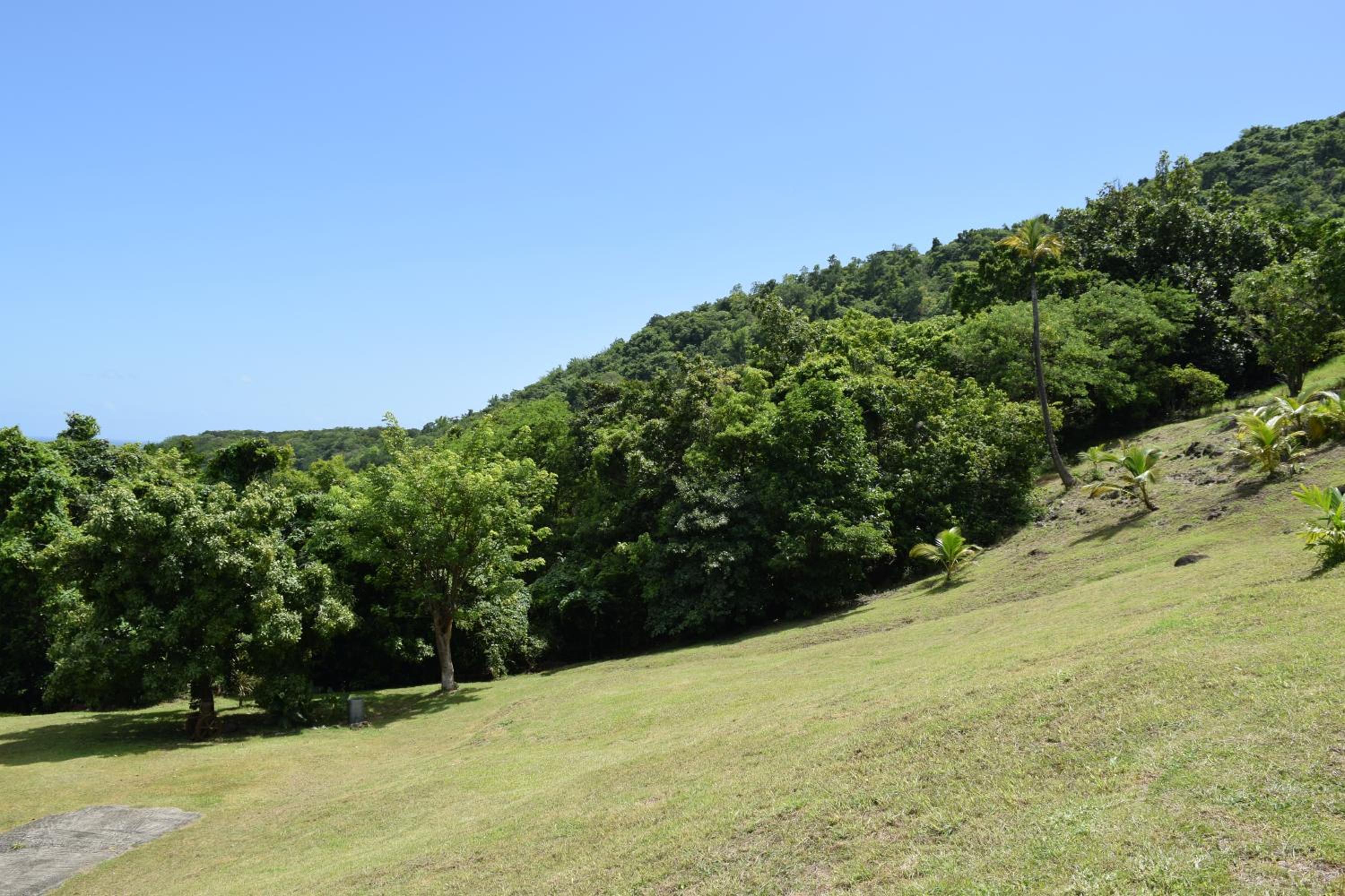 Habitation Pineau
