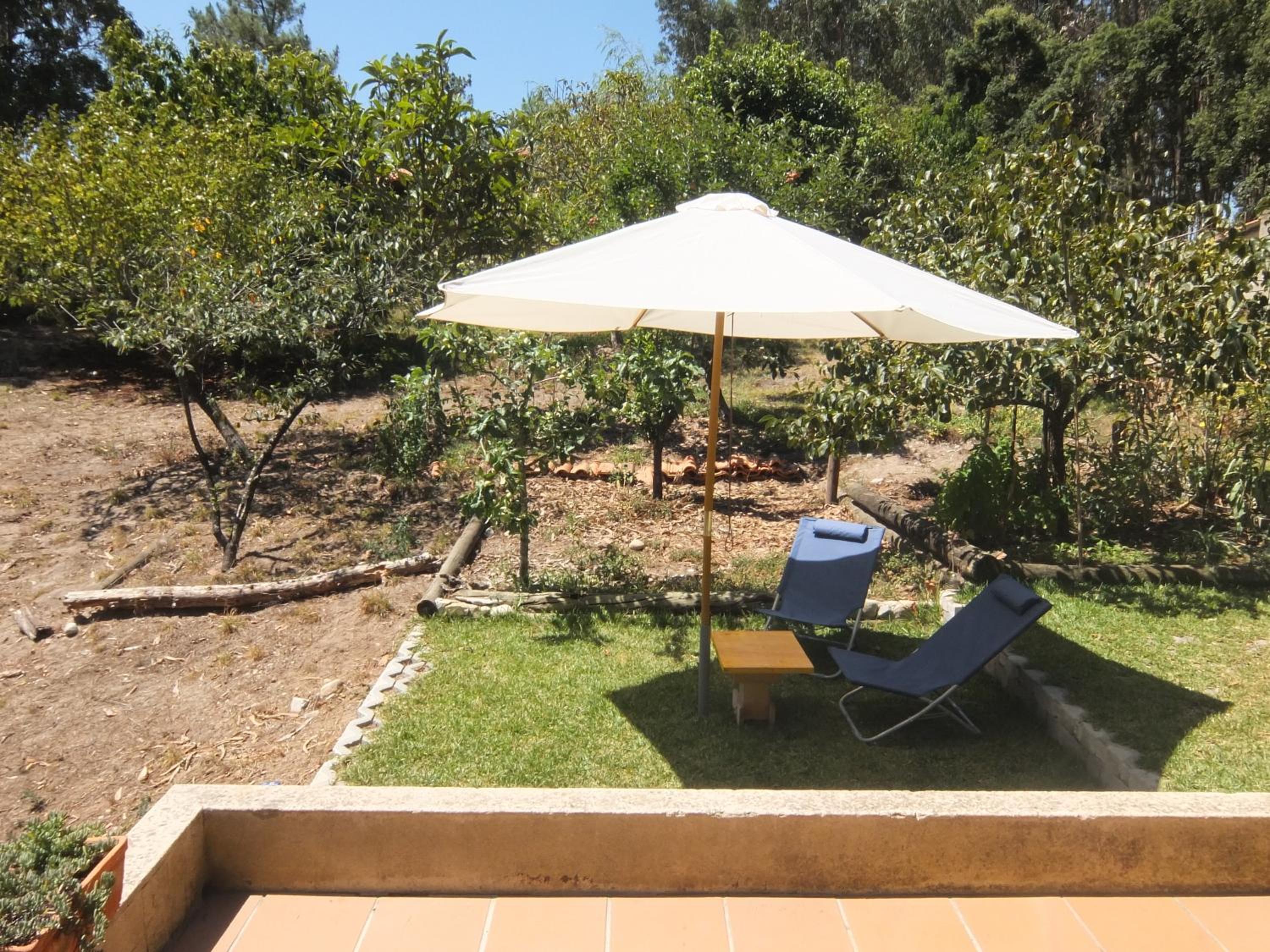 Ecobosque view 5
