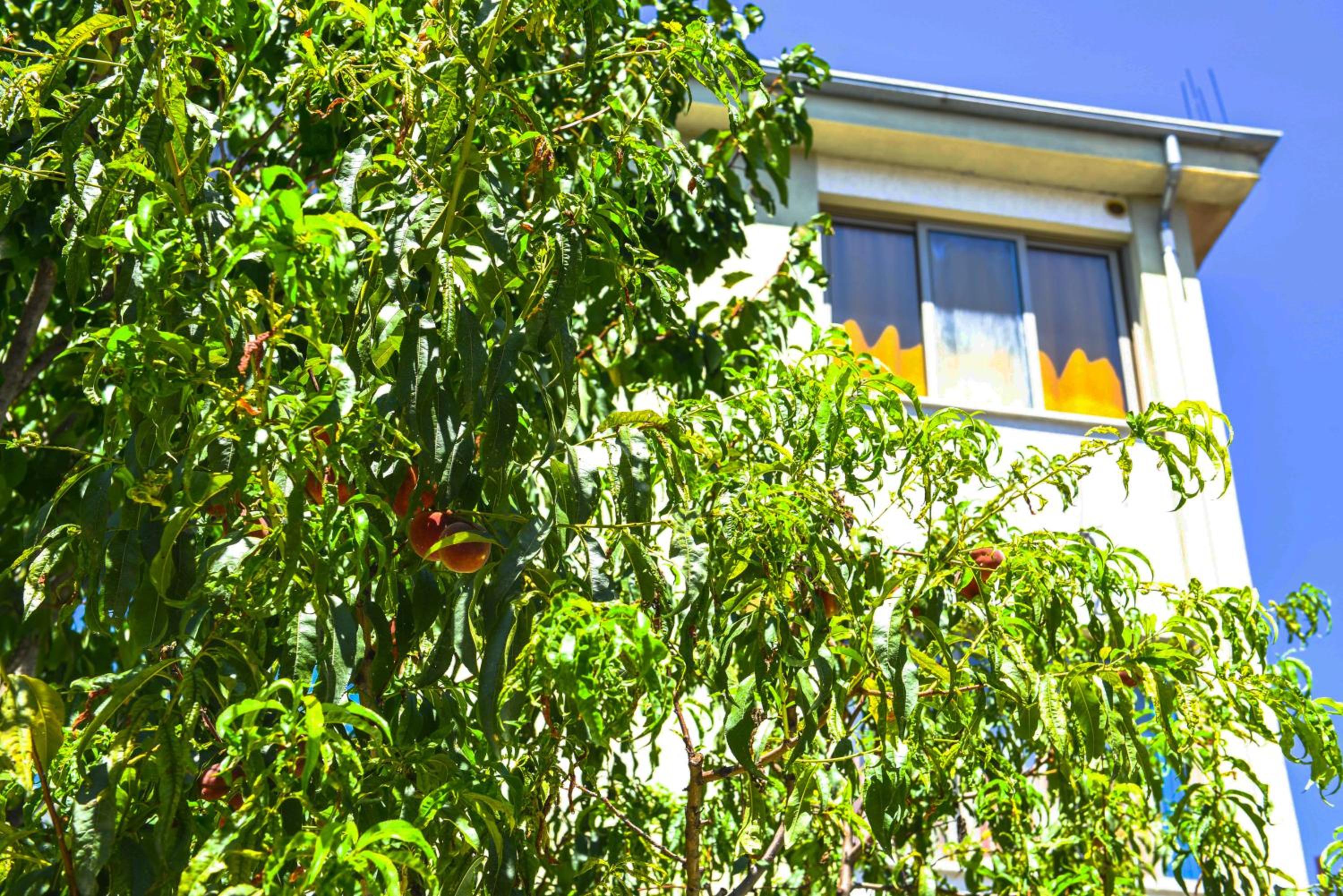 Pemaj Hostel