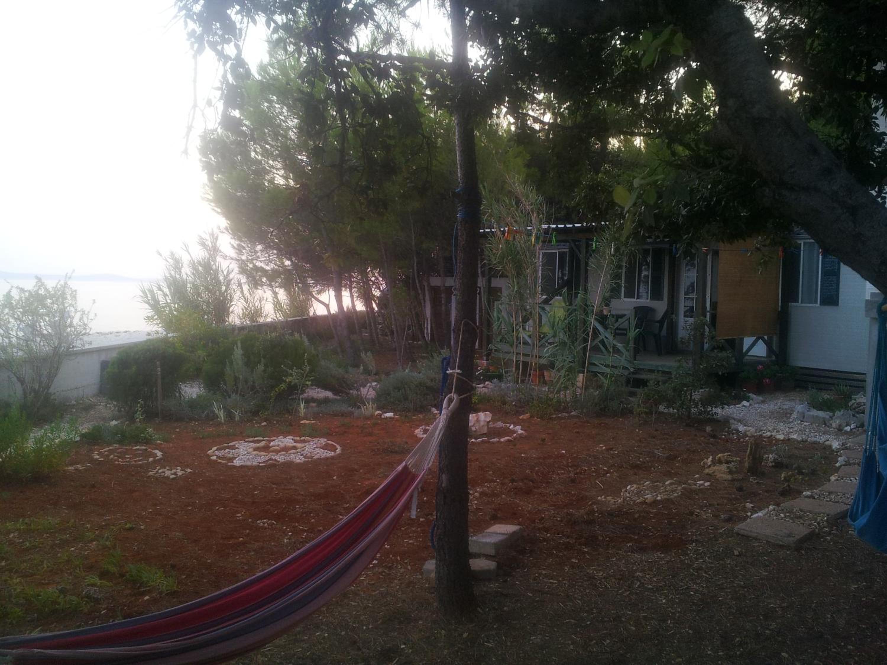 Photo 31