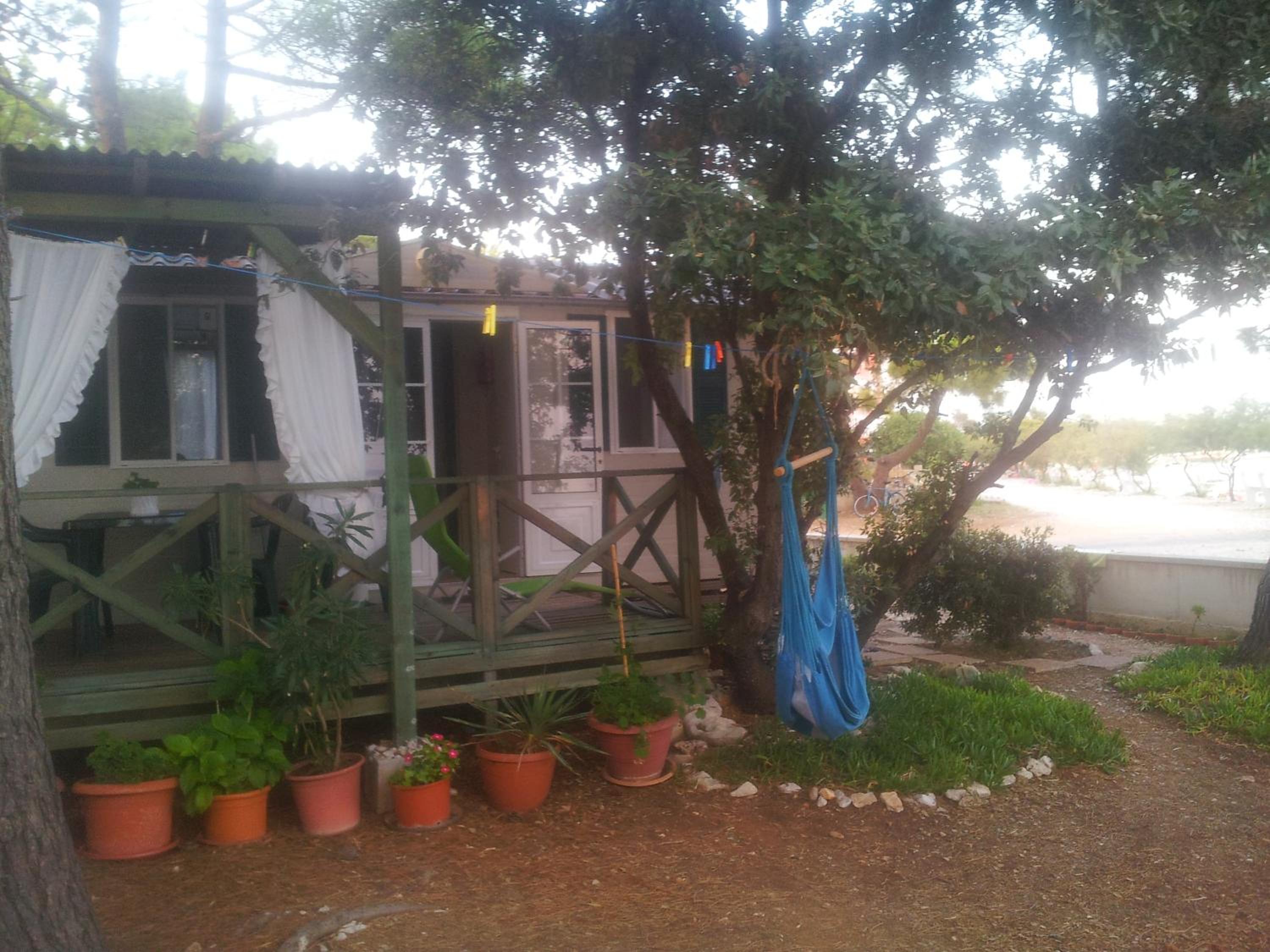 Photo 28